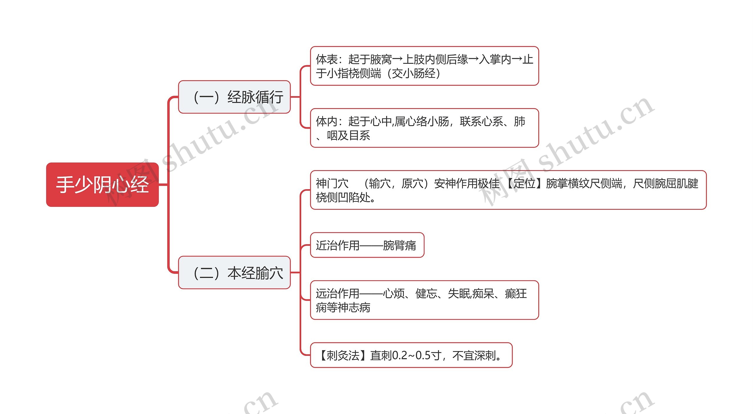 手少阴心经思维导图