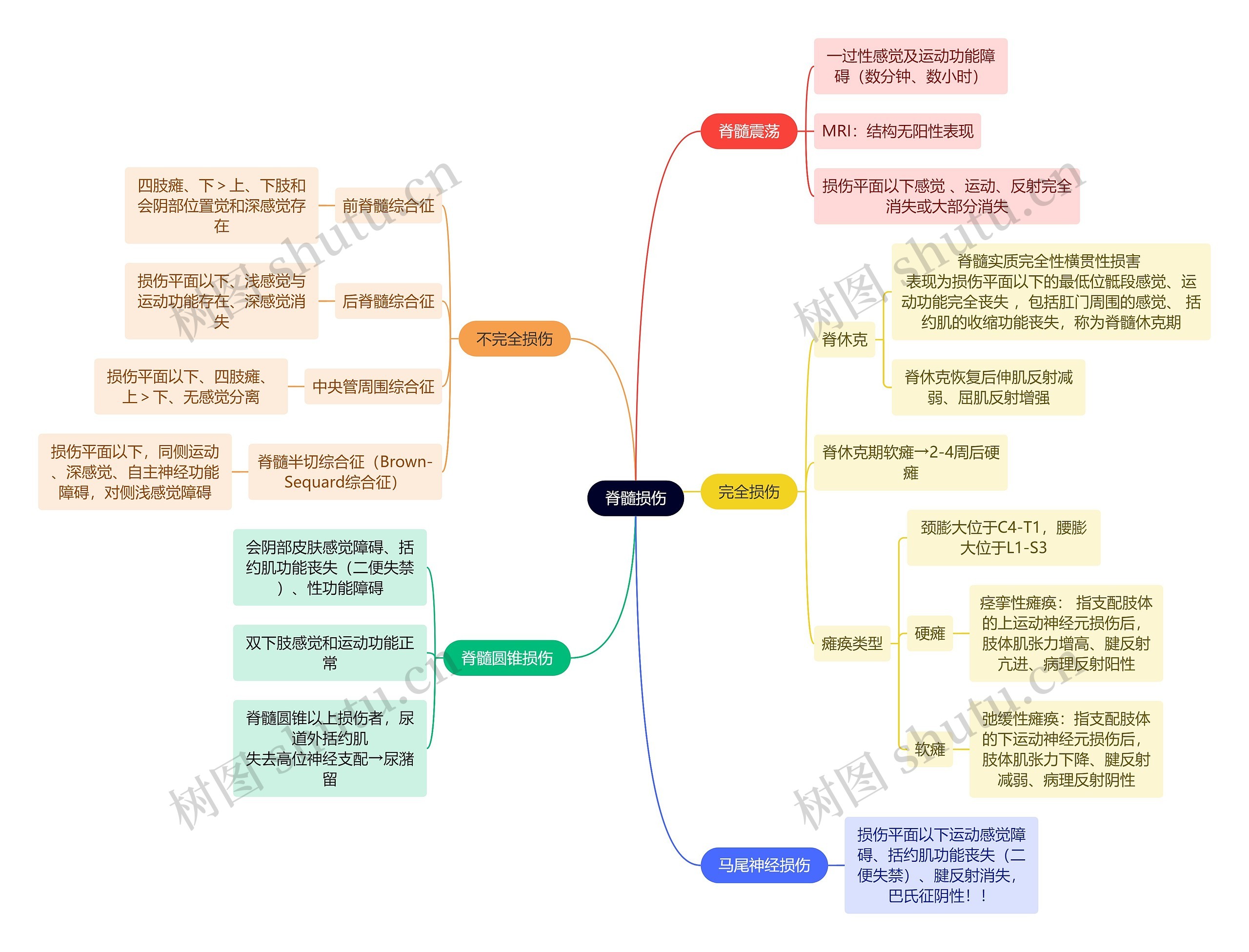 骨学知识脊髓损伤思维导图