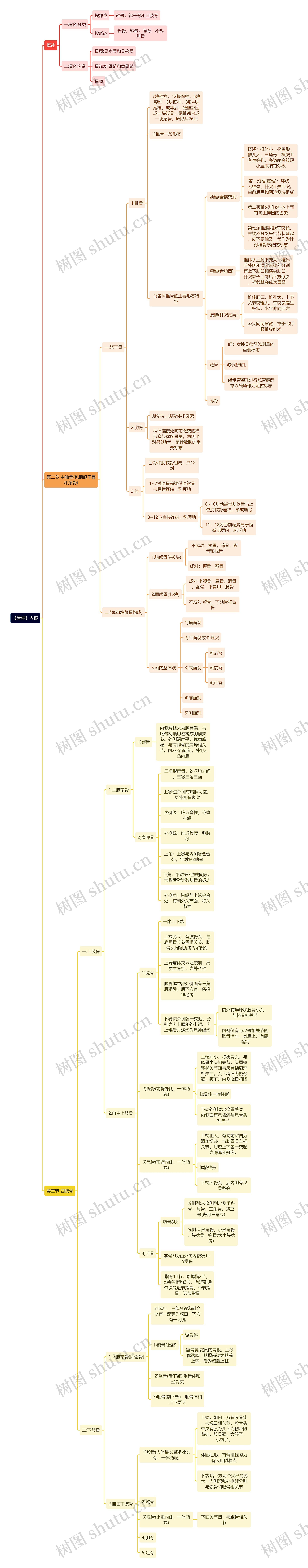 《骨学》内容思维导图高清图 《骨学》内容思维导图