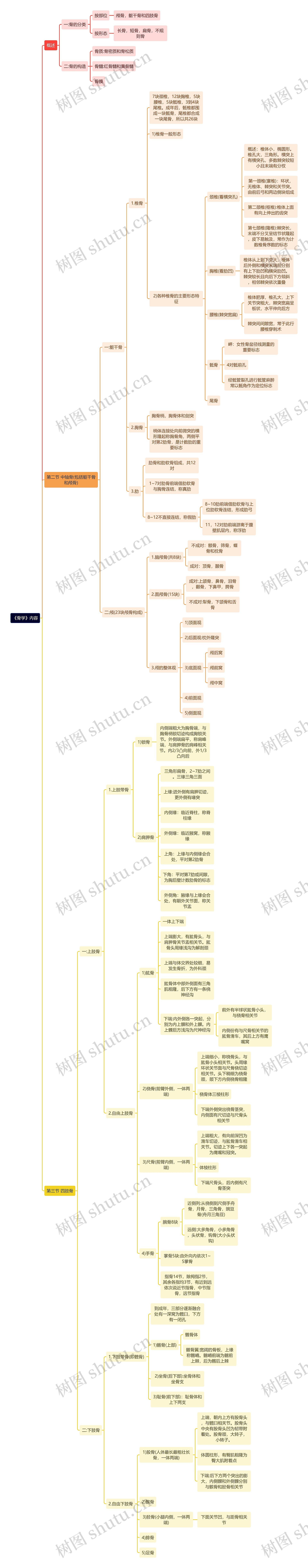 《骨学》内容思维导图