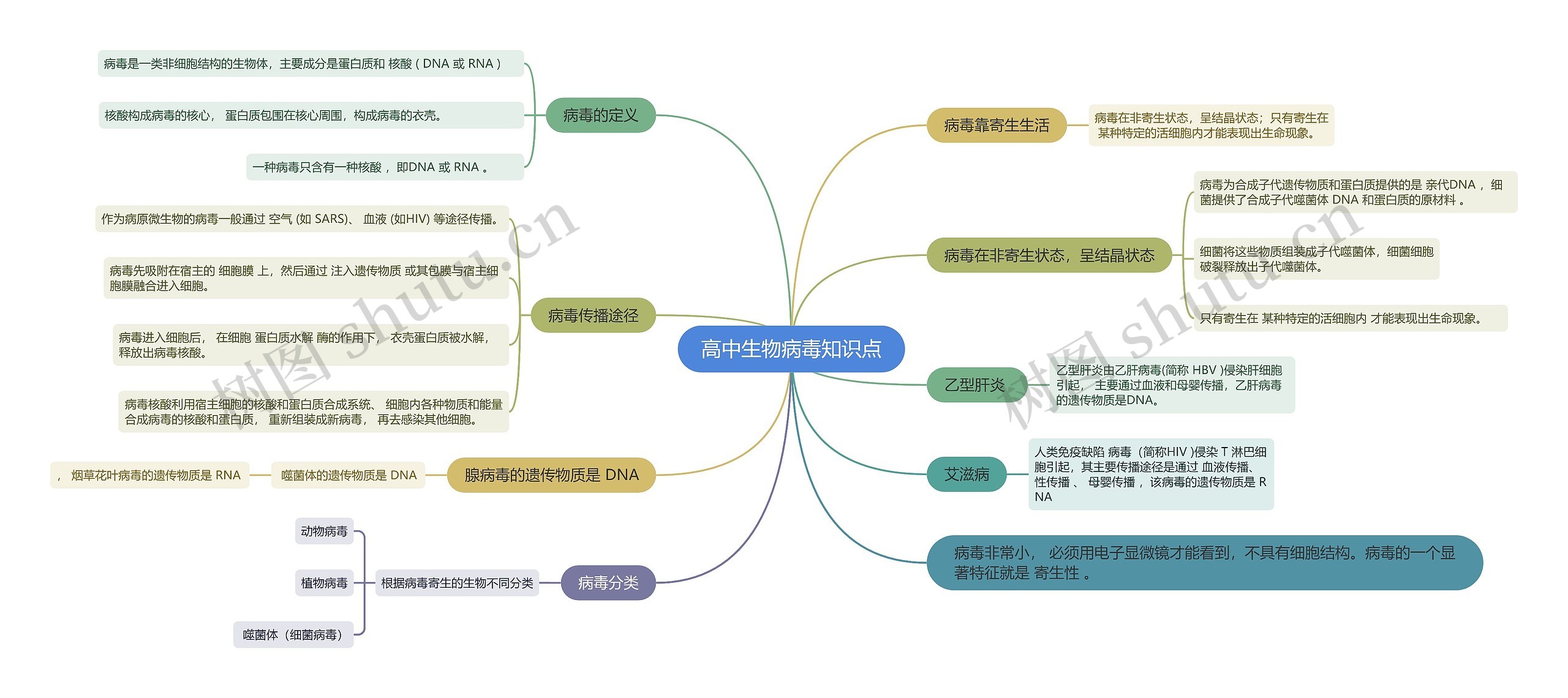 高中生物病毒知识点思维导图