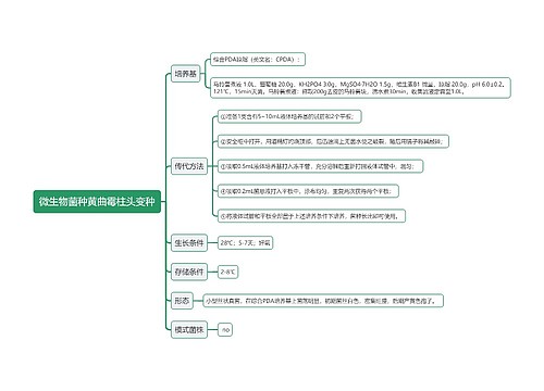 微生物菌种黄曲霉柱头变种思维导图