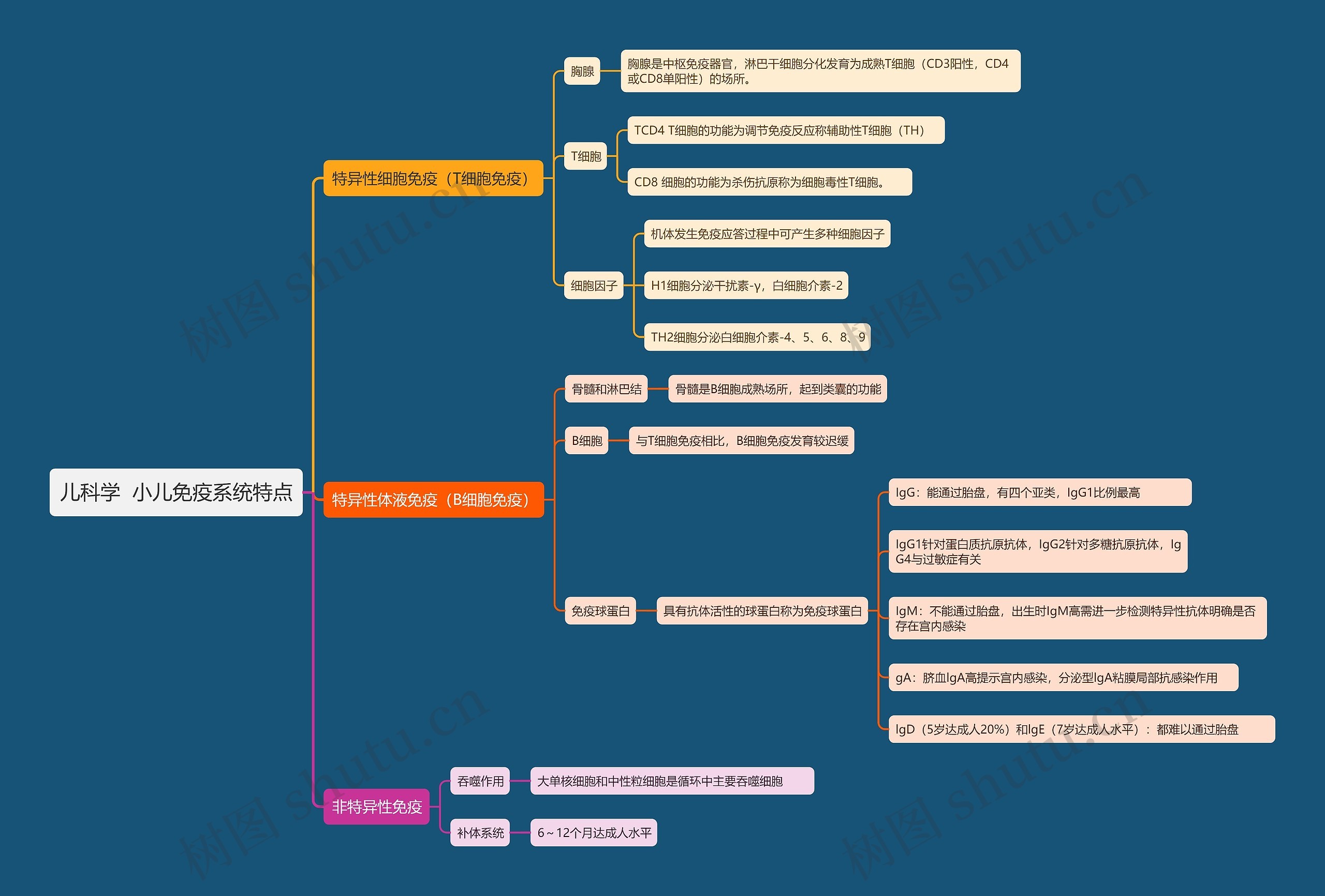 儿科学  小儿免疫系统特点思维导图