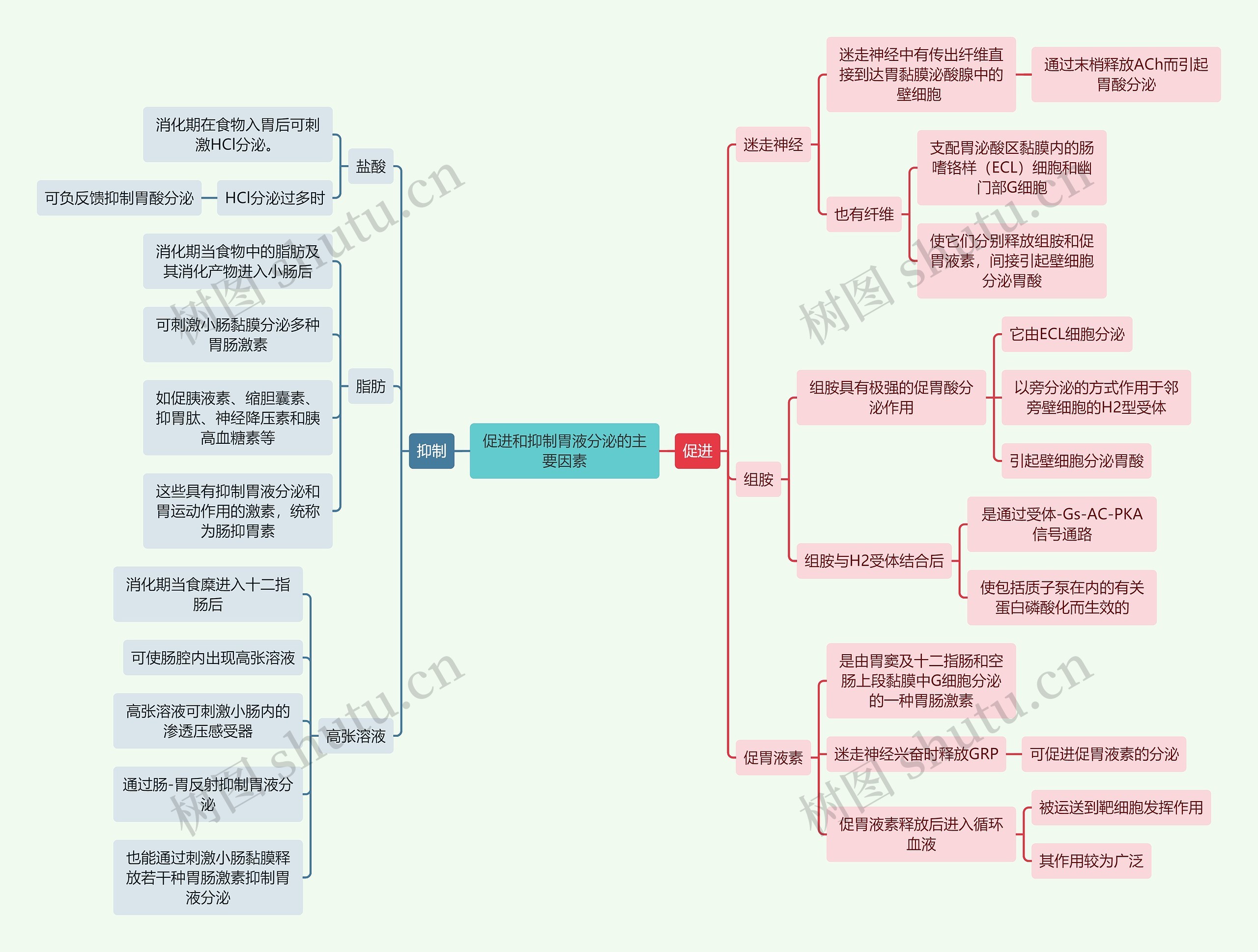 医学知识促进和抑制胃液分泌的主要因素思维导图