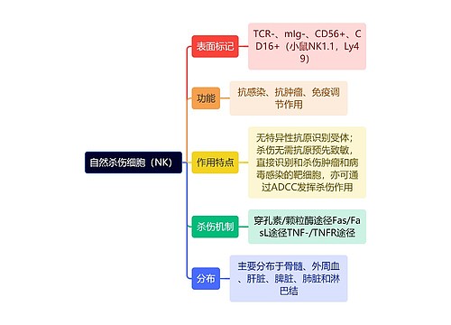 医学知识自然杀伤细胞思维导图