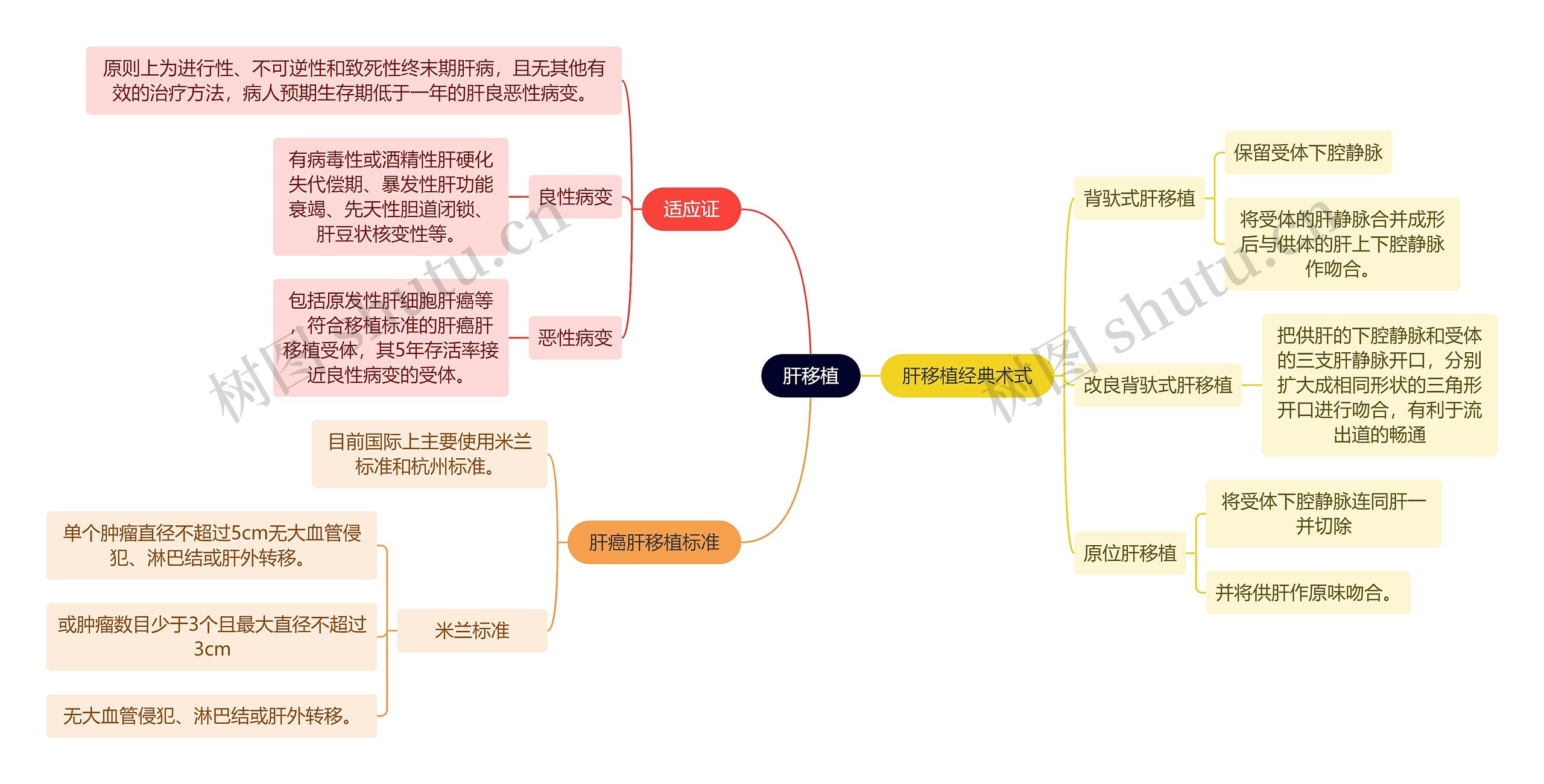 医学知识肝移植思维导图