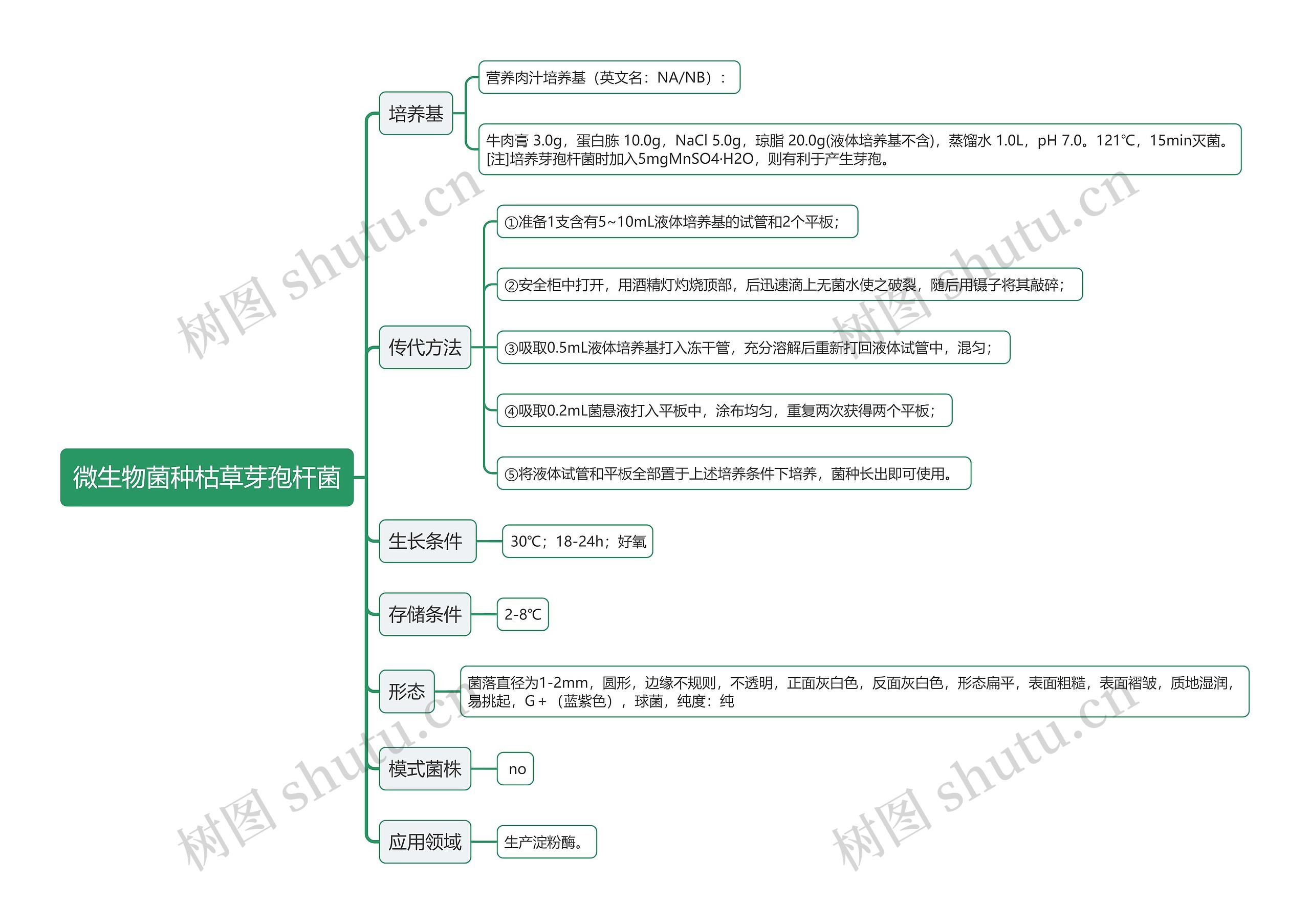 微生物菌种枯草芽孢杆菌思维导图