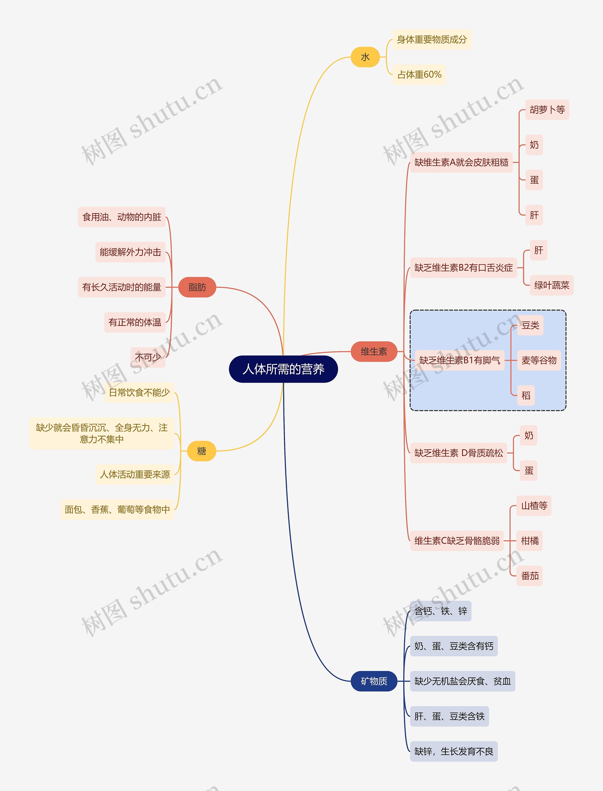 人体所需的营养思维导图