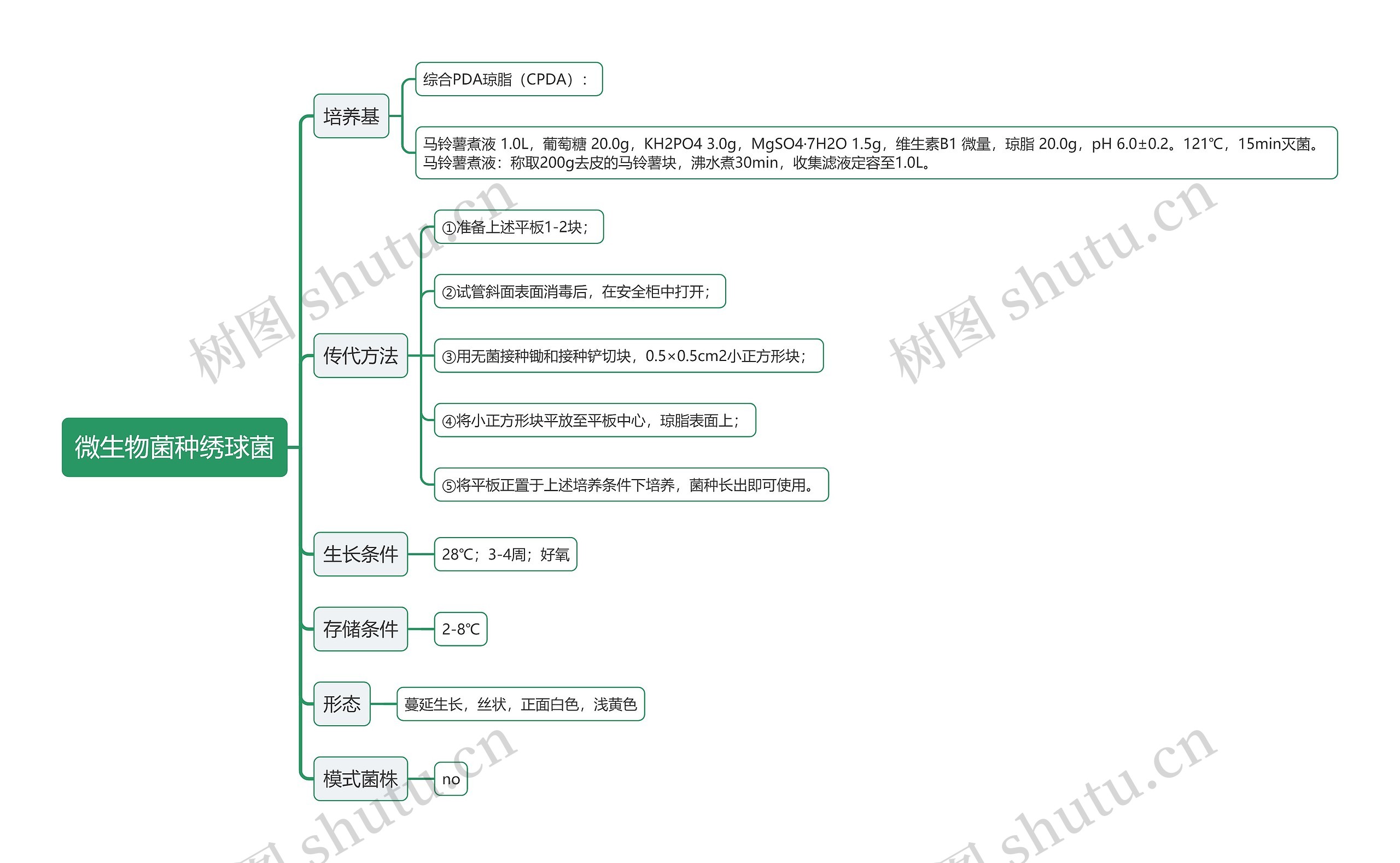 微生物菌种绣球菌思维导图