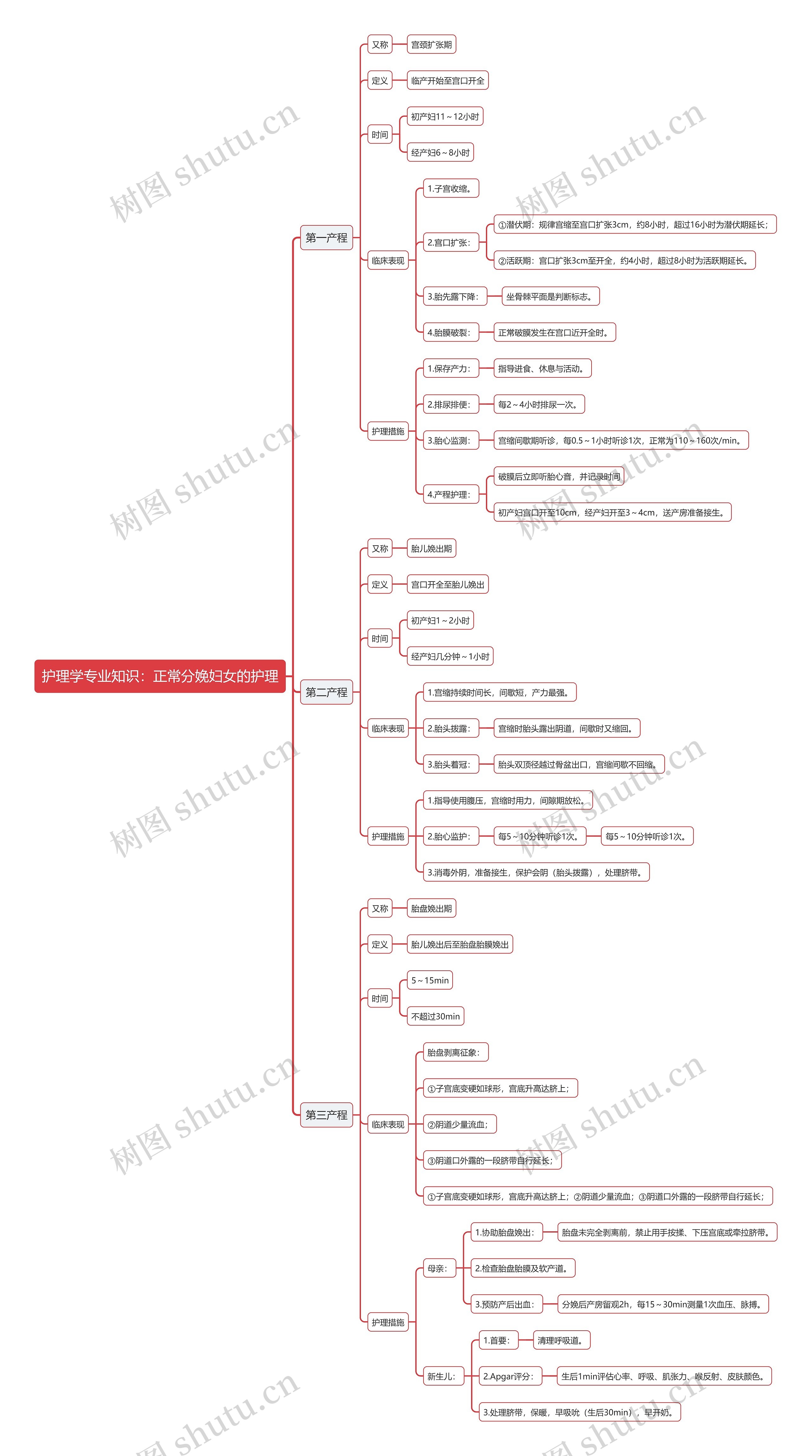 护理学专业知识：正常分娩妇女的护理思维导图