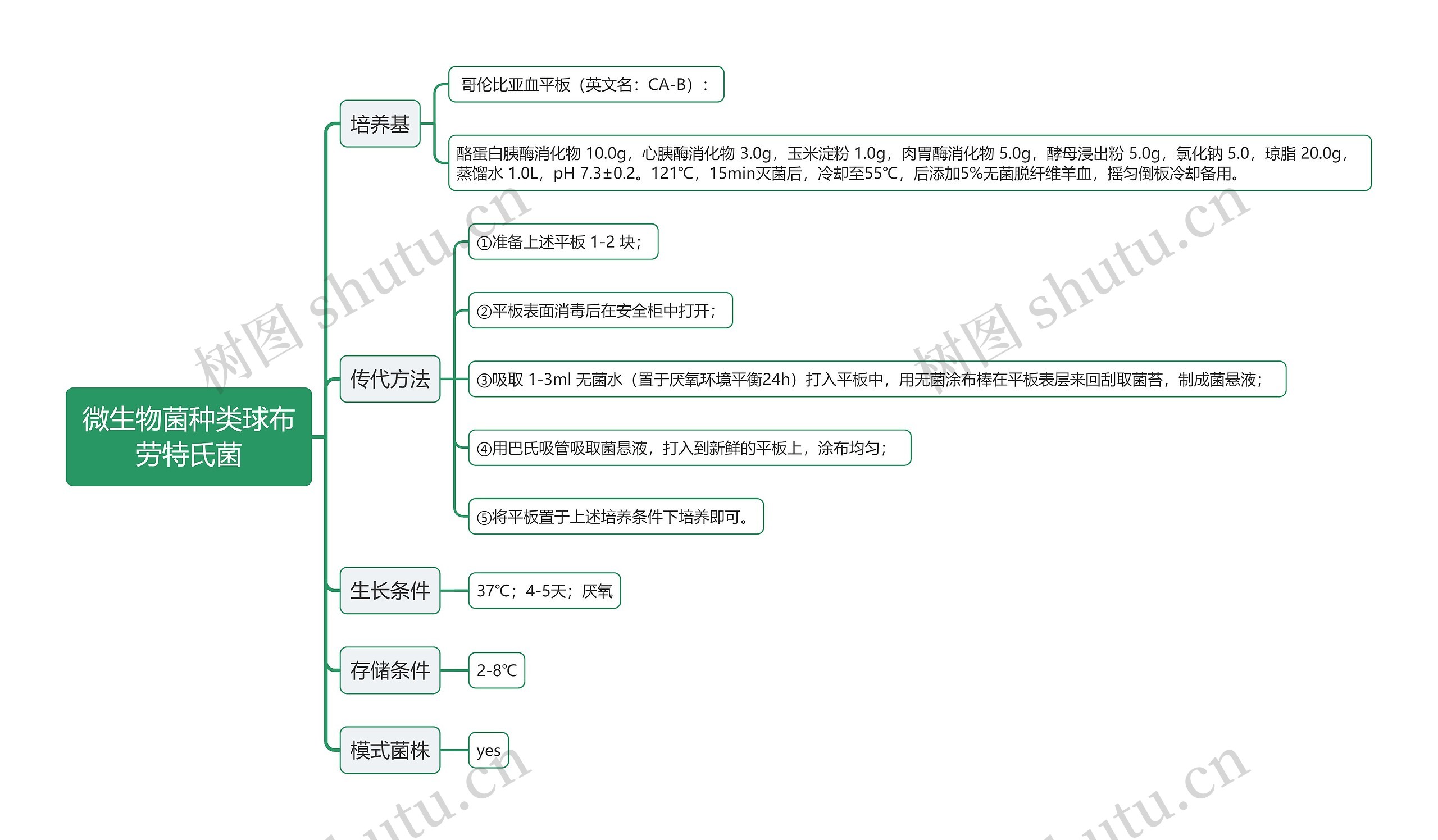 微生物菌种类球布劳特氏菌思维导图