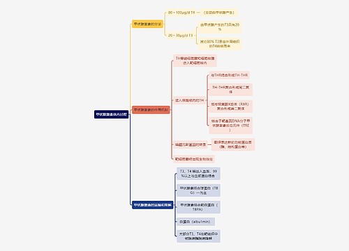 医学知识甲状腺激素体内过程思维导图