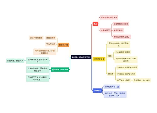 中医知识腑与腑之间的相互关系思维导图