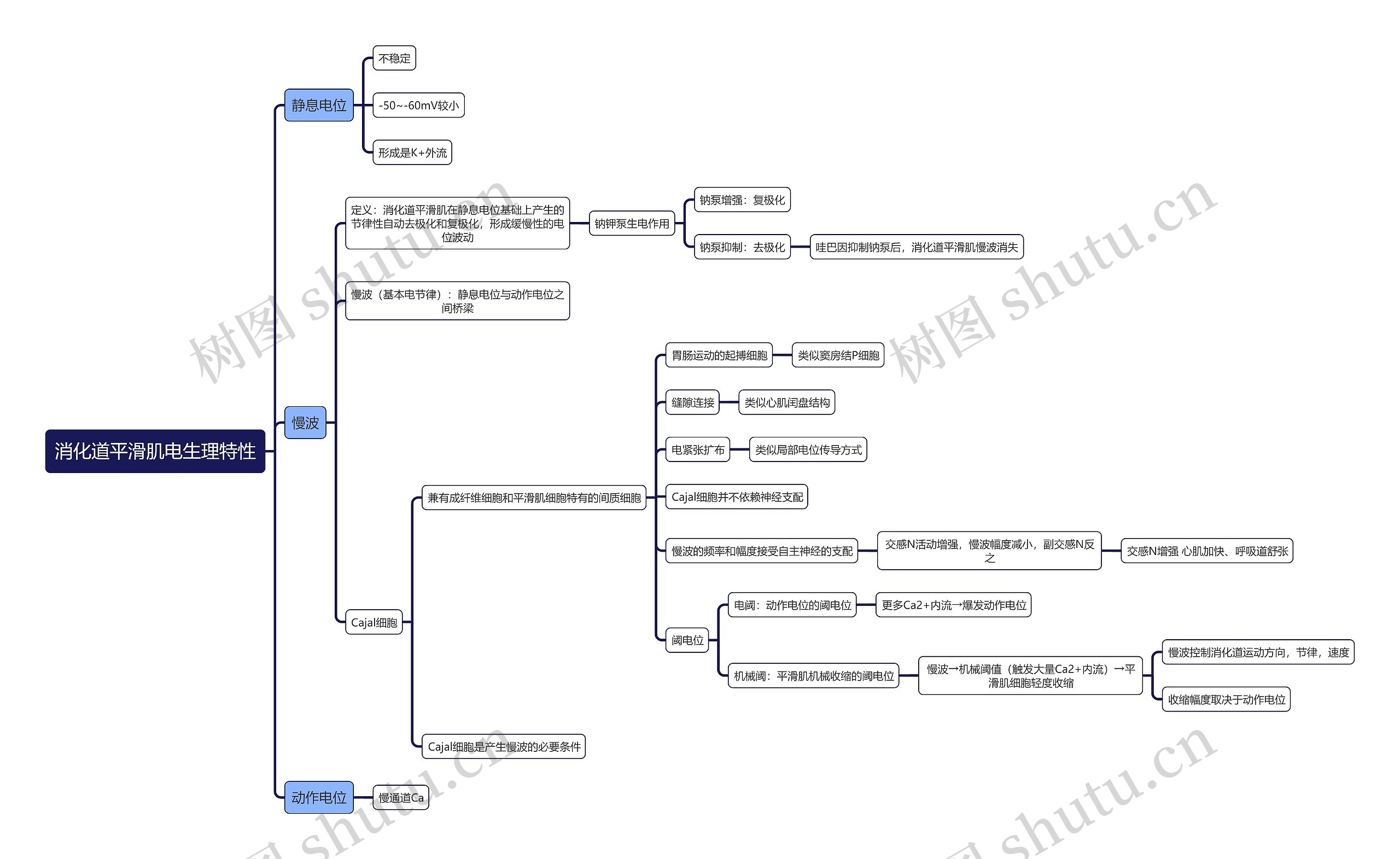 医学知识消化道平滑肌电生理特性思维导图