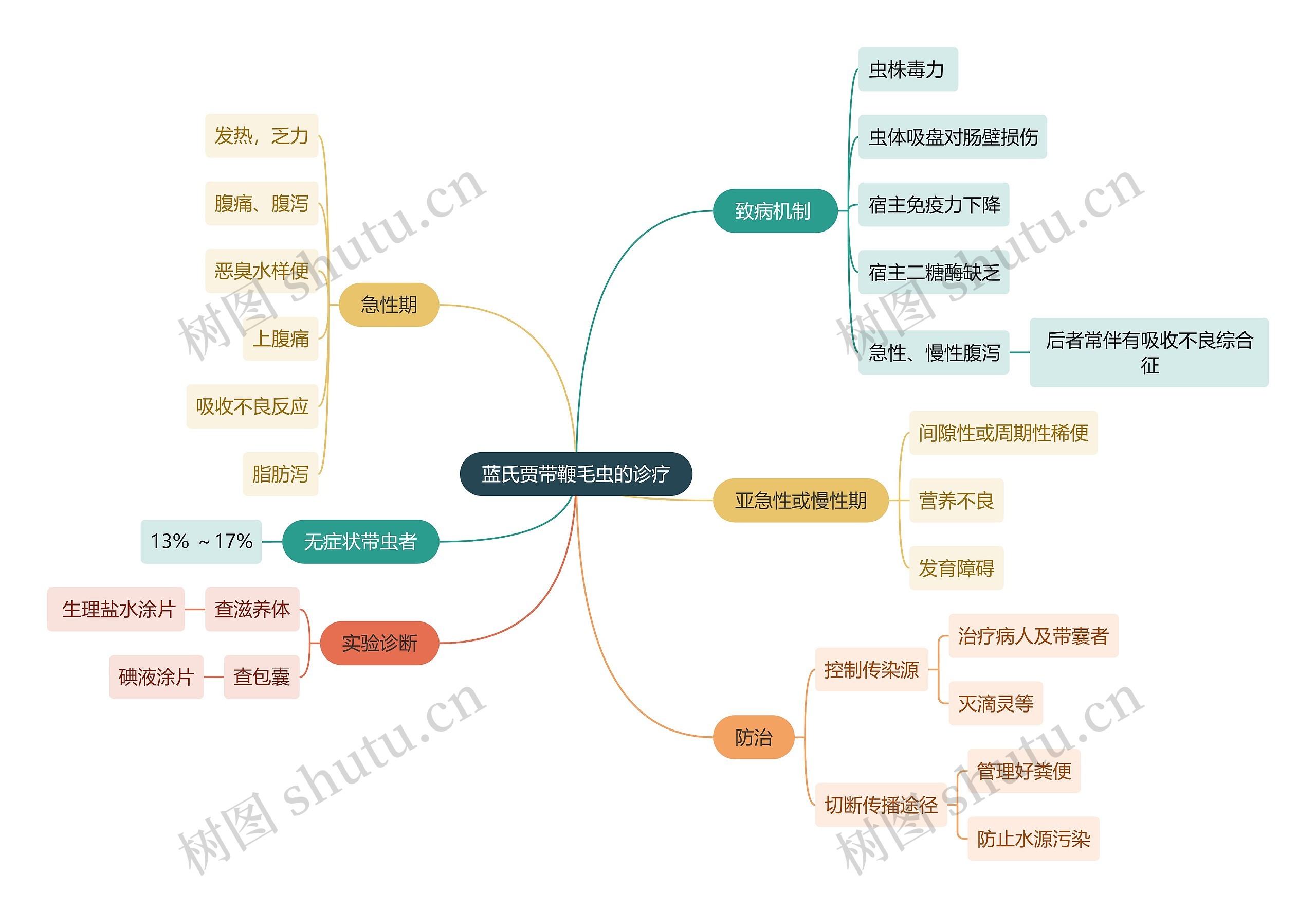 医学知识蓝氏贾带鞭毛虫的诊疗思维导图