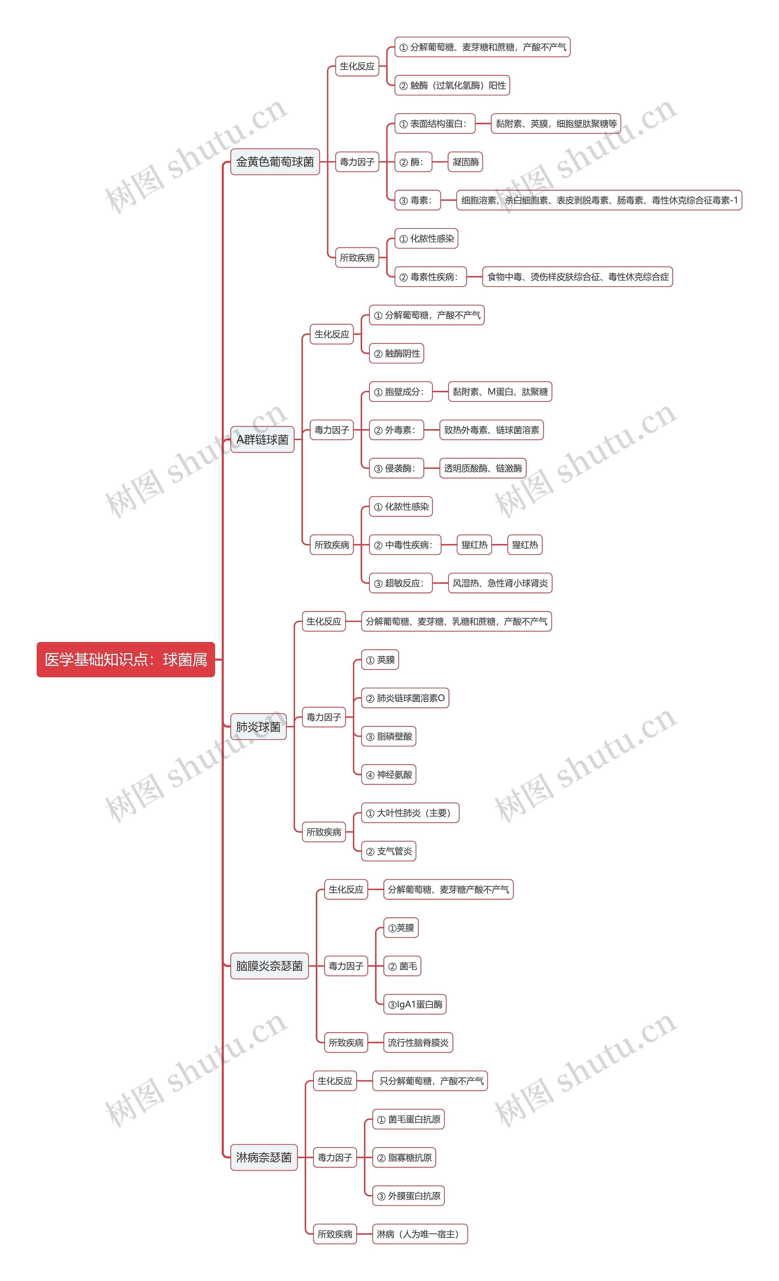 医学基础知识点：球菌属思维导图