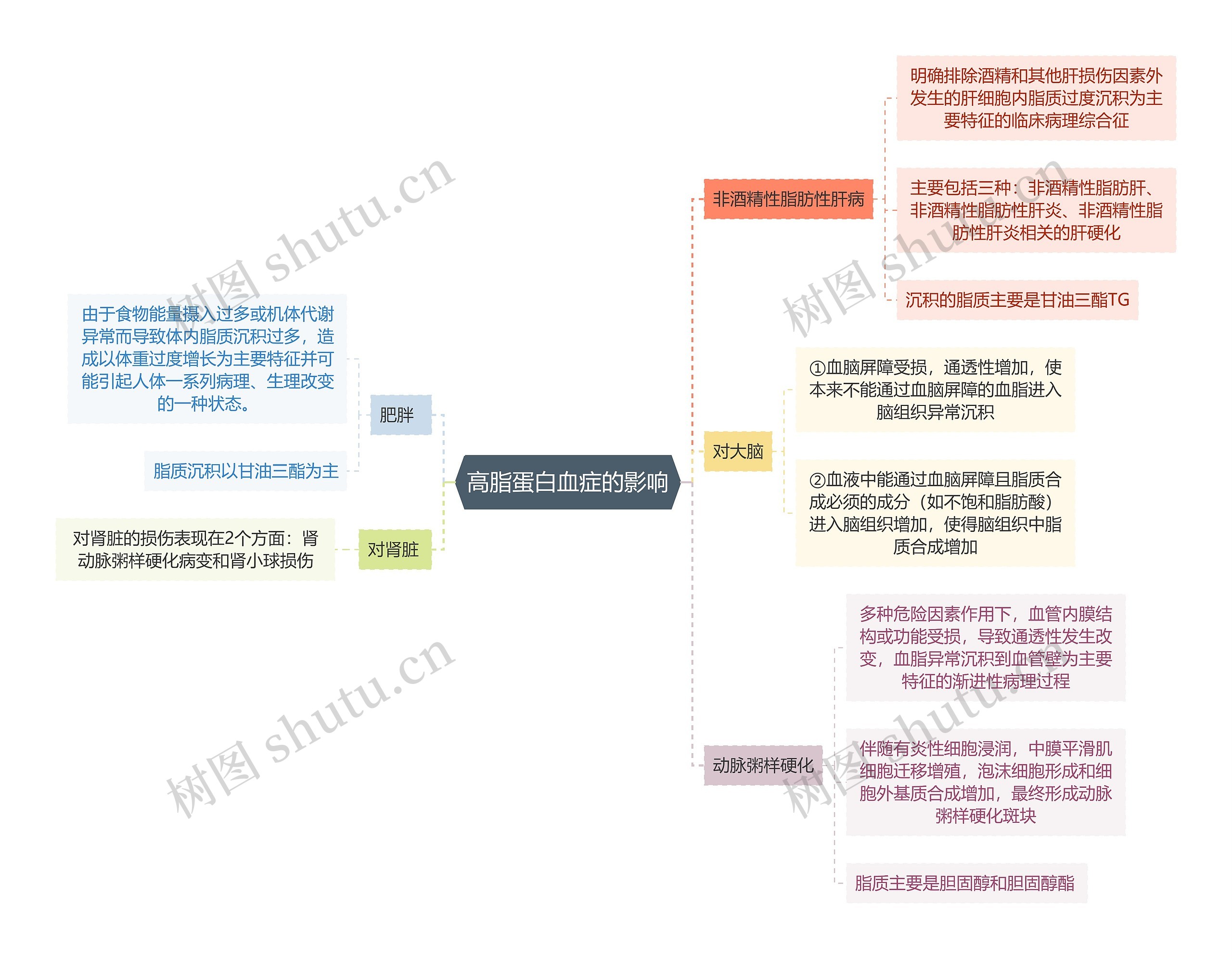 医学知识高脂蛋白血症的影响思维导图