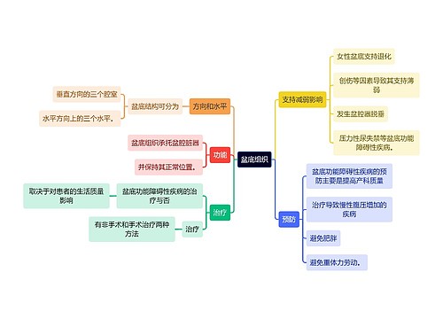 医学知识盆底组织思维导图