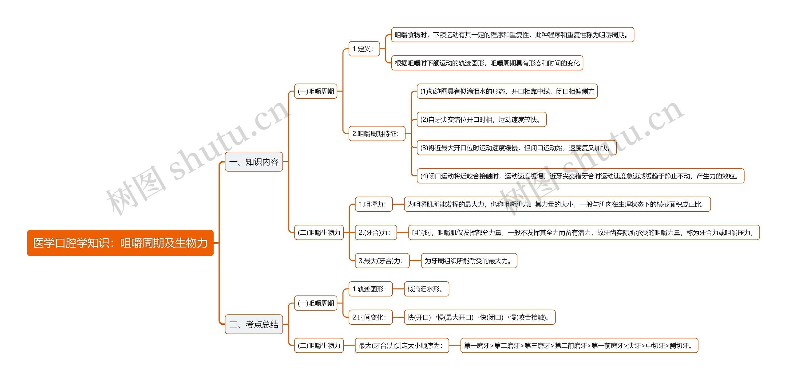 医学口腔学知识：咀嚼周期及生物力思维导图