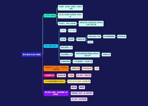 医学知识胆色素的合成与黄疸思维导图