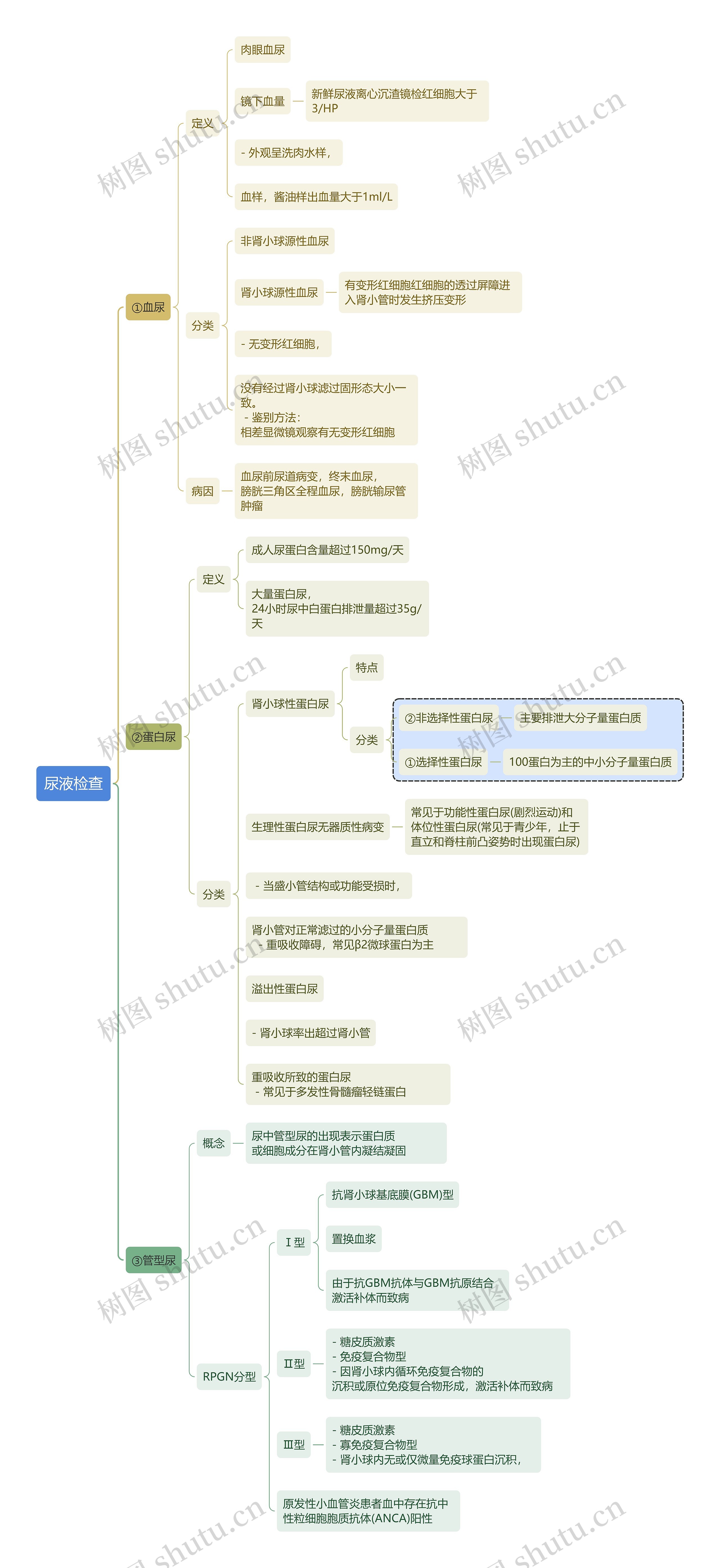 内科尿液检查思维导图