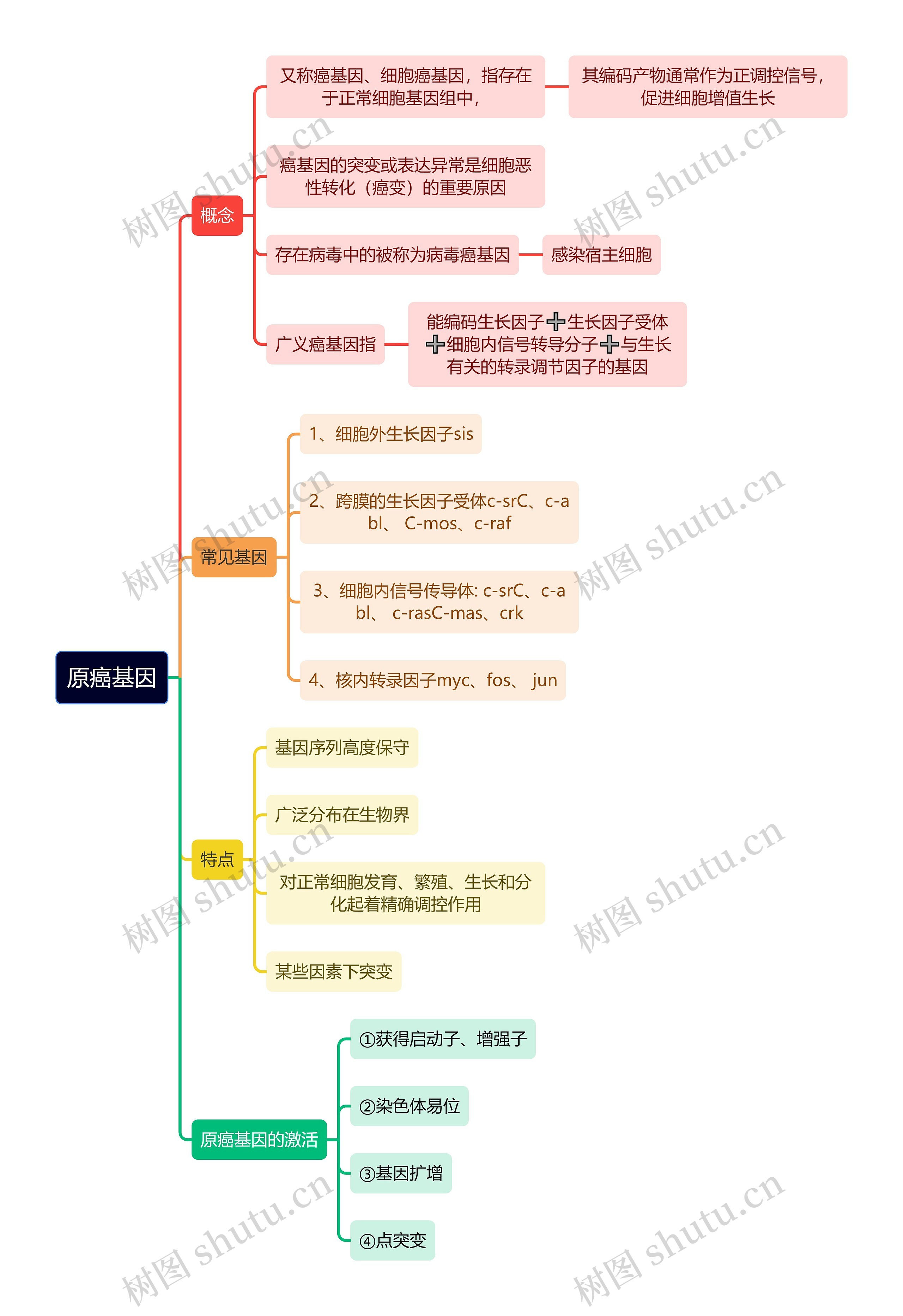 医学知识原癌基因思维导图