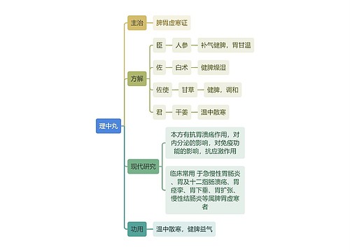 中医知识理中丸思维导图