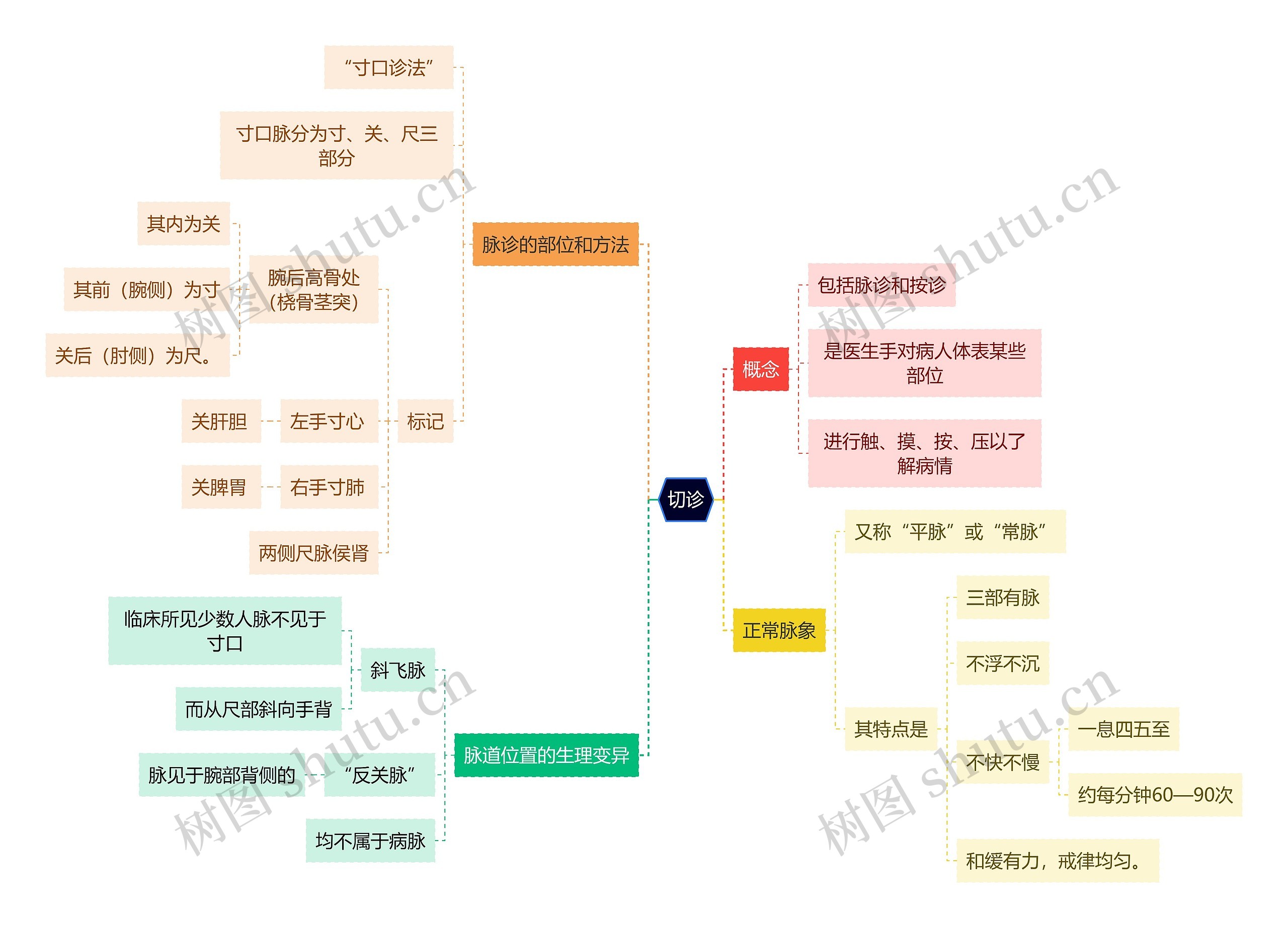 中医知识切诊思维导图