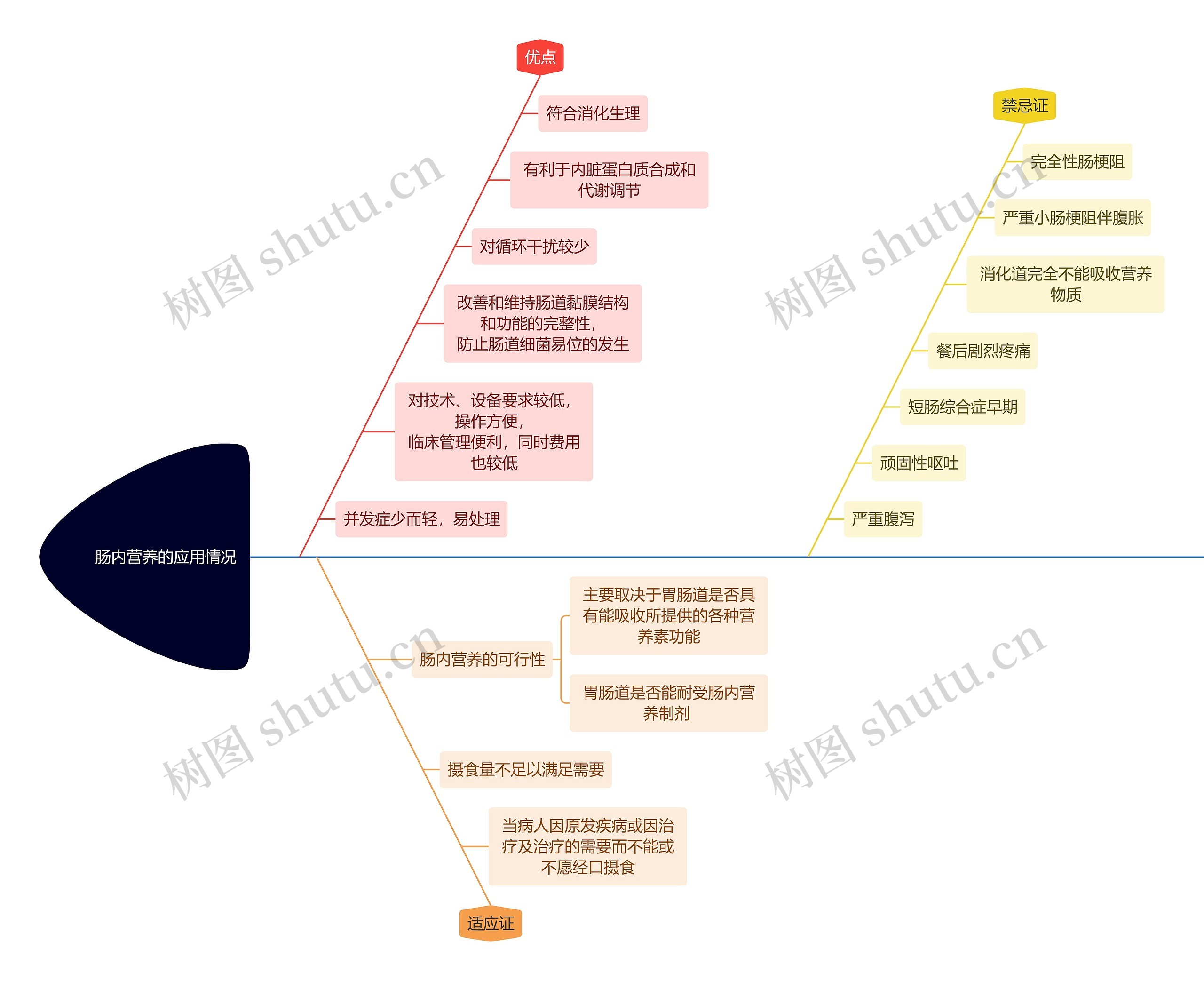 医学知识肠内营养的应用情况思维导图