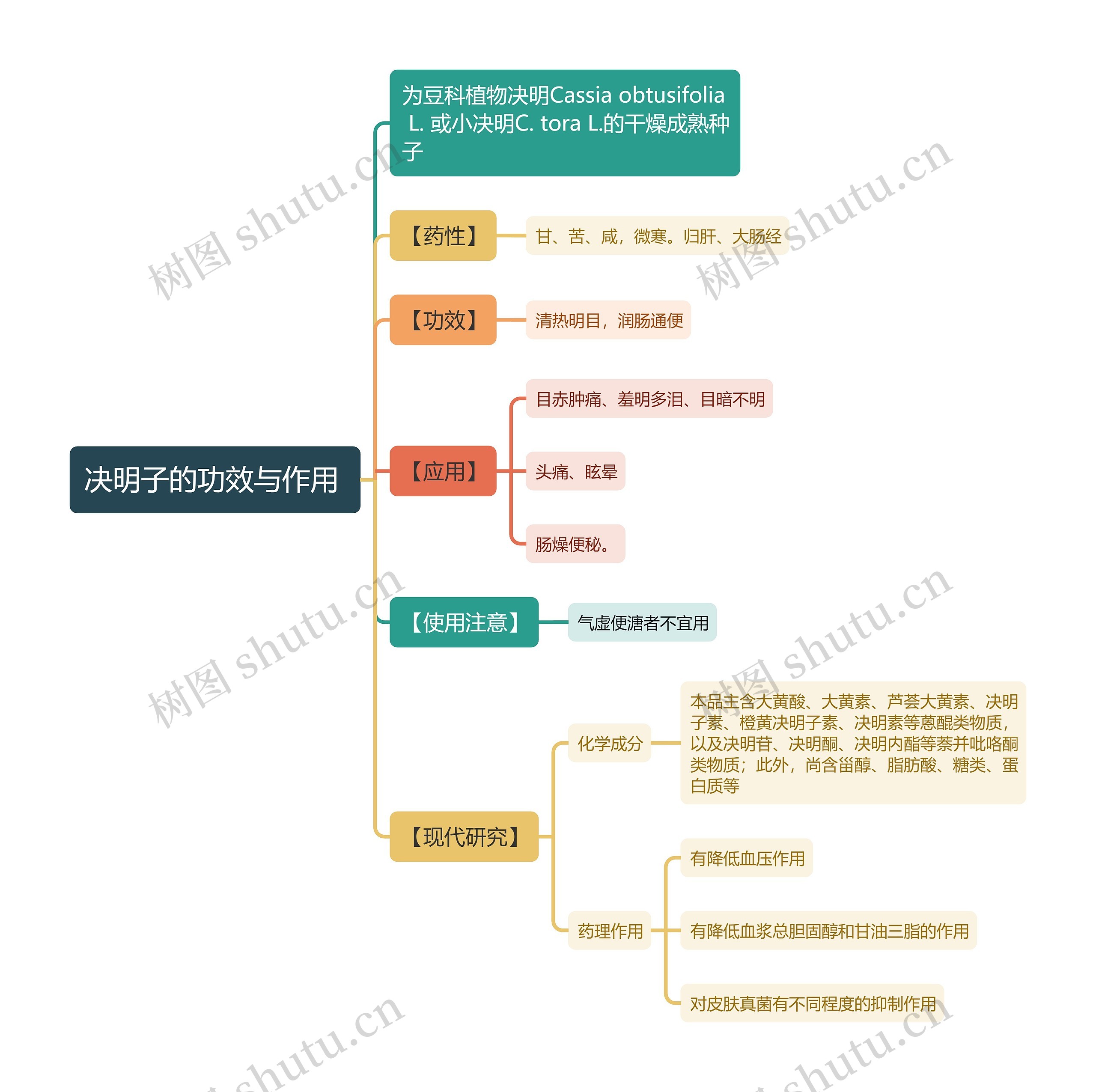 决明子的功效与作用
思维导图