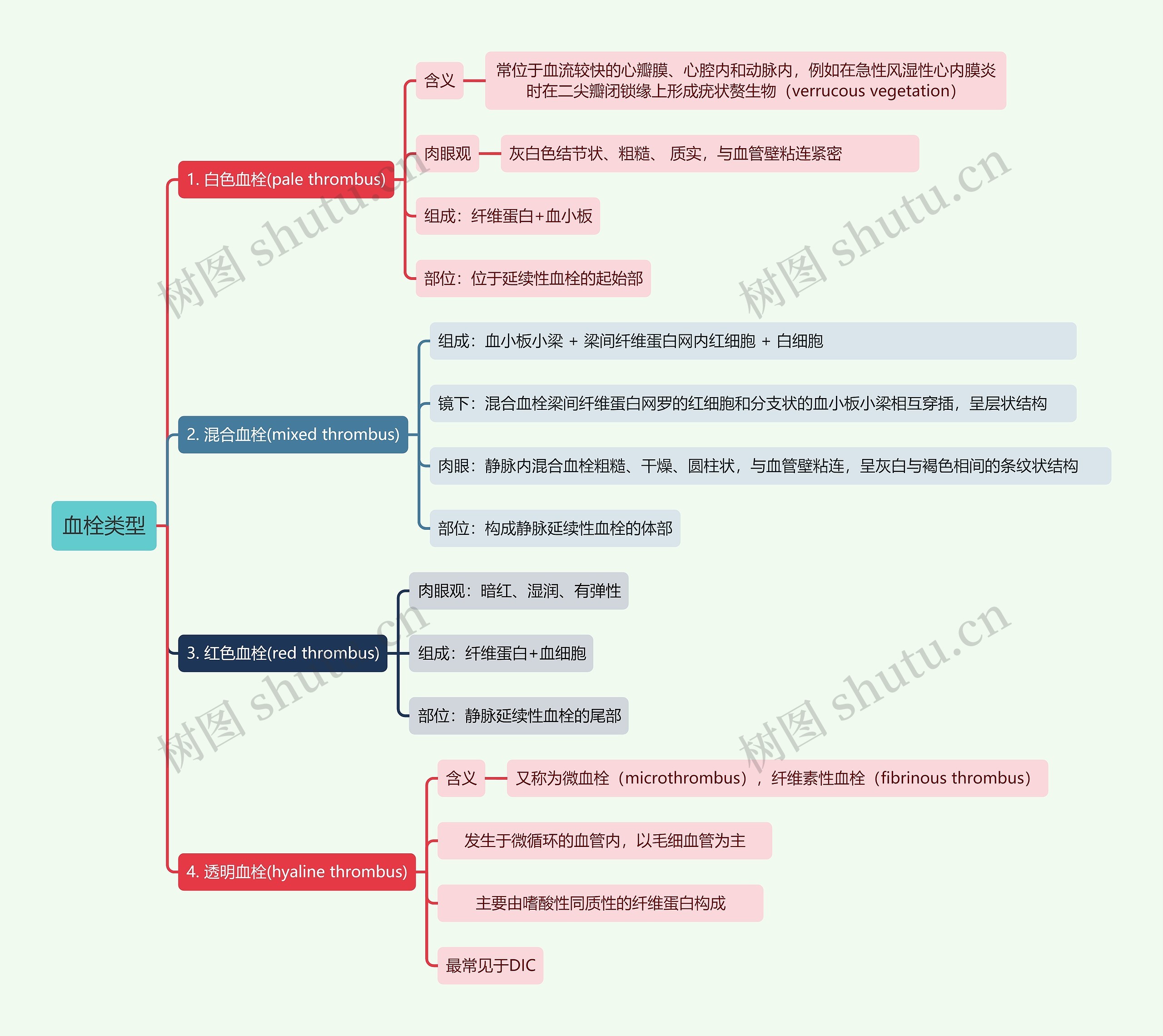 血栓类型思维导图