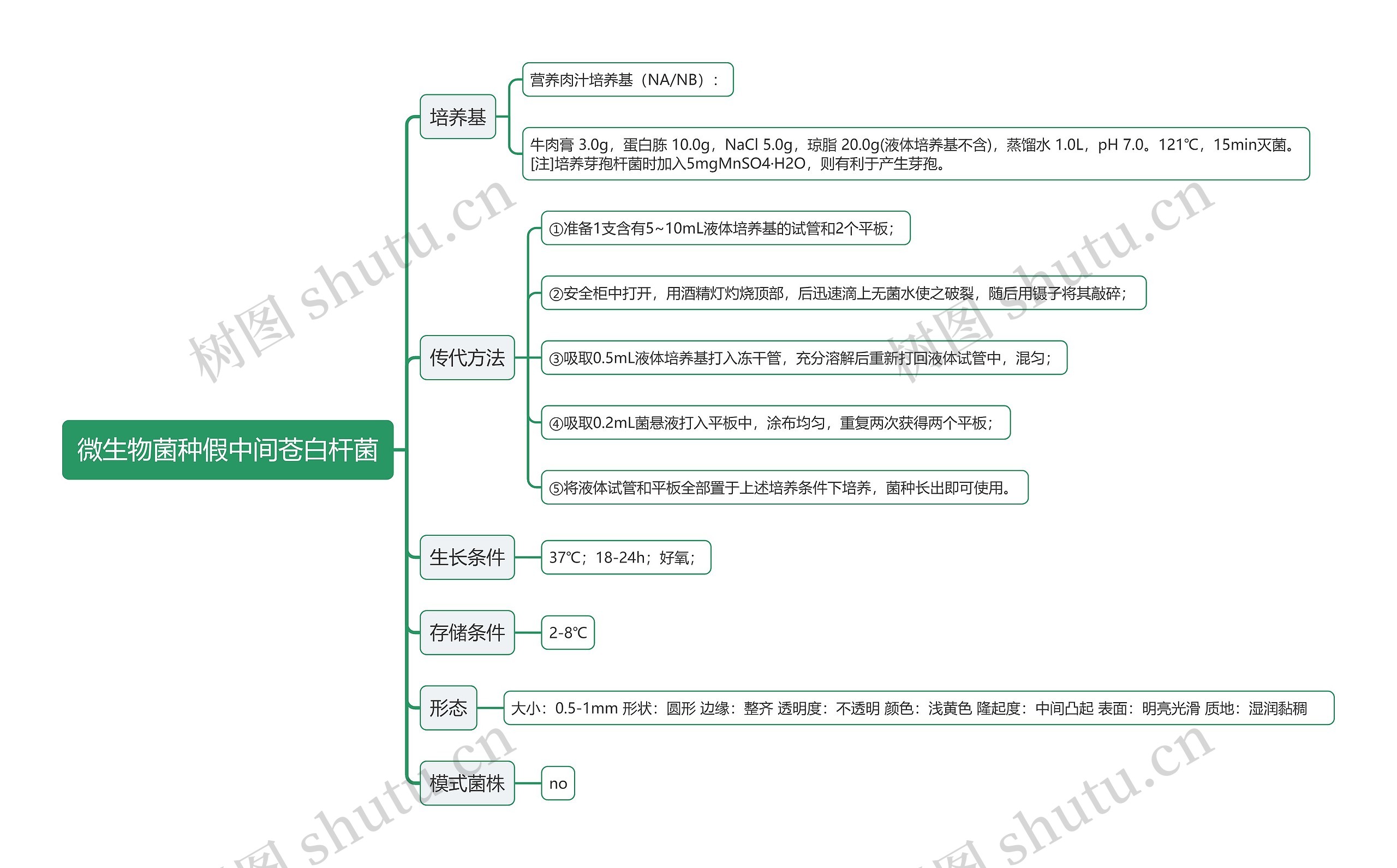 微生物菌种假中间苍白杆菌思维导图