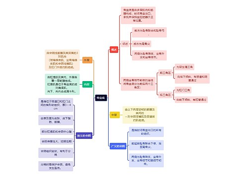 医学知识骨盆底 思维导图