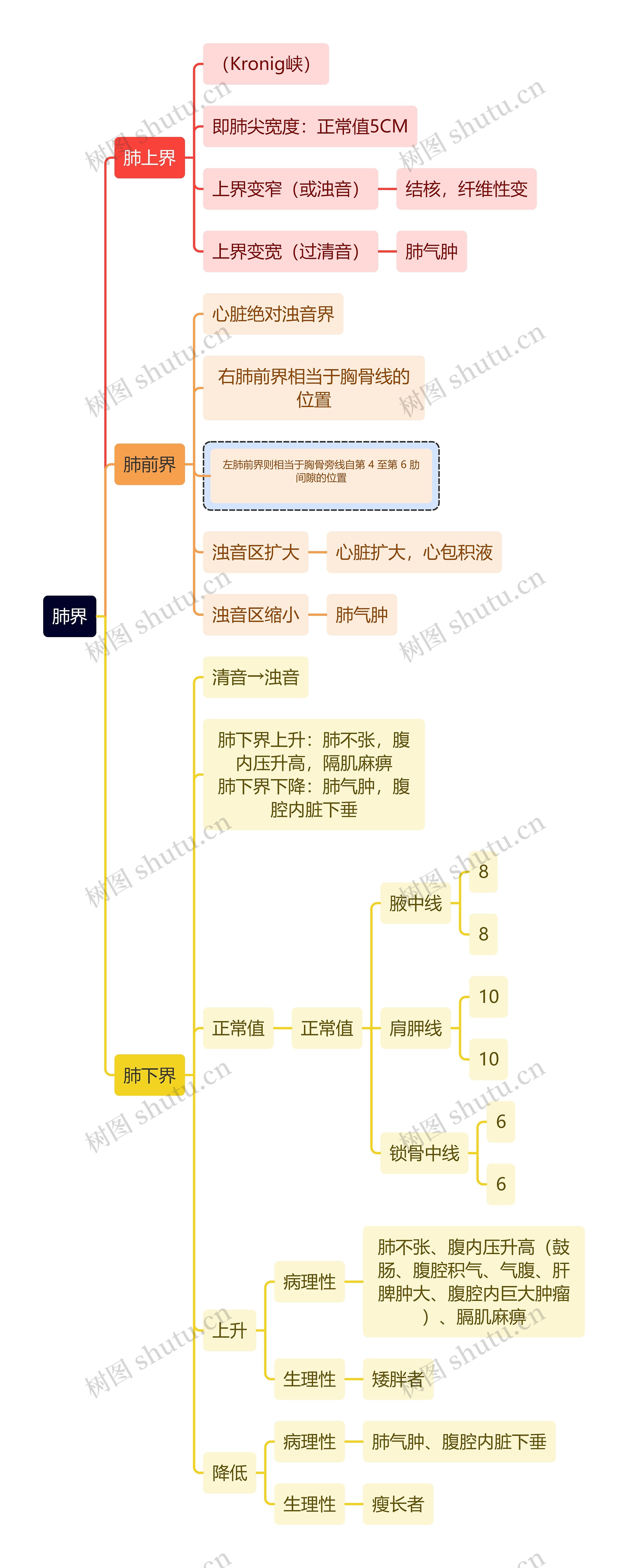 医学知识肺界思维导图