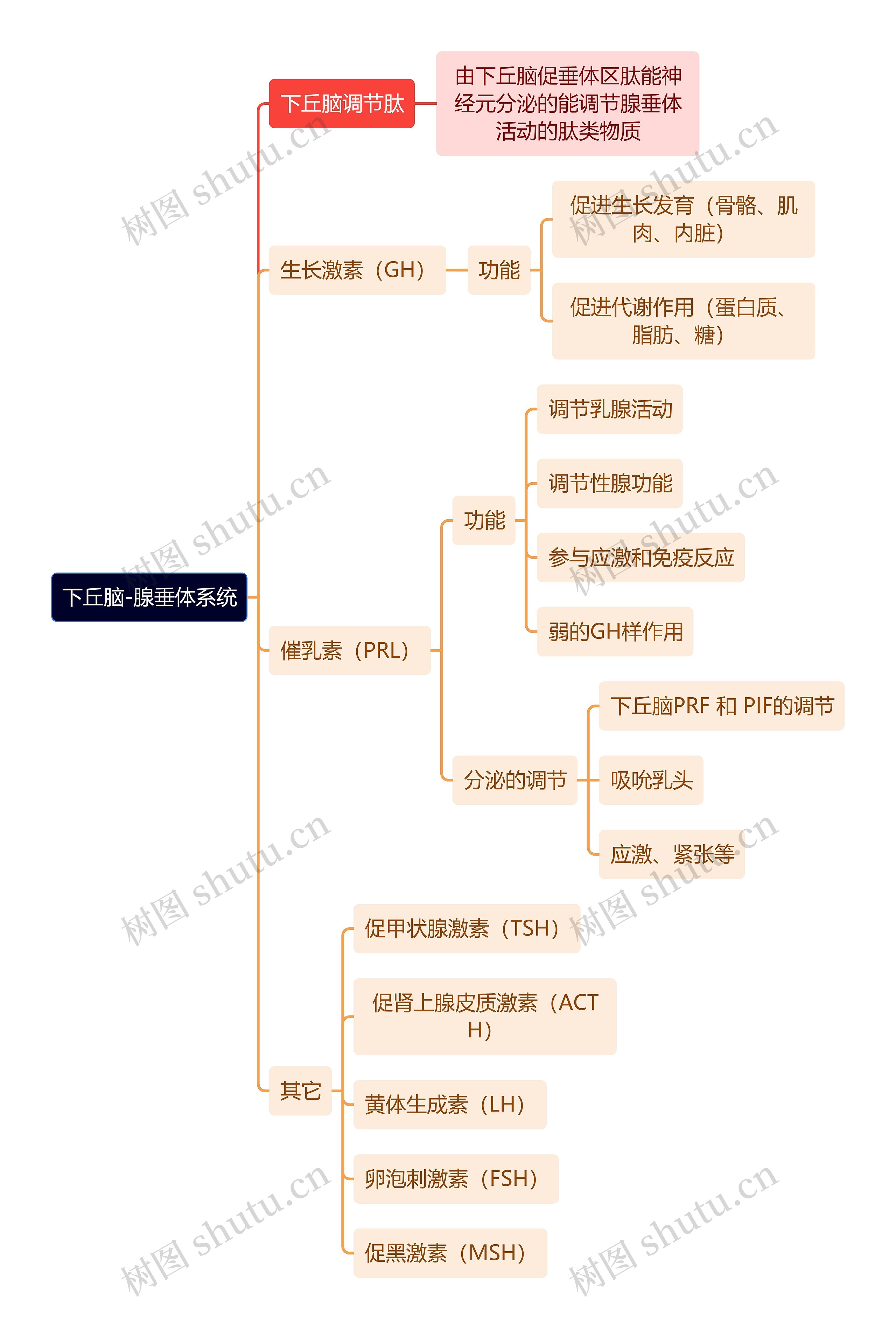 医学知识下丘脑-腺垂体系统思维导图