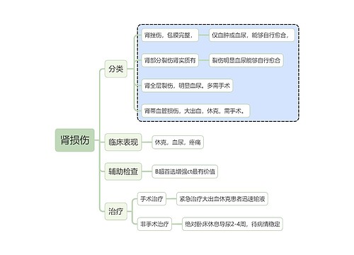 内科学肾损伤思维导图