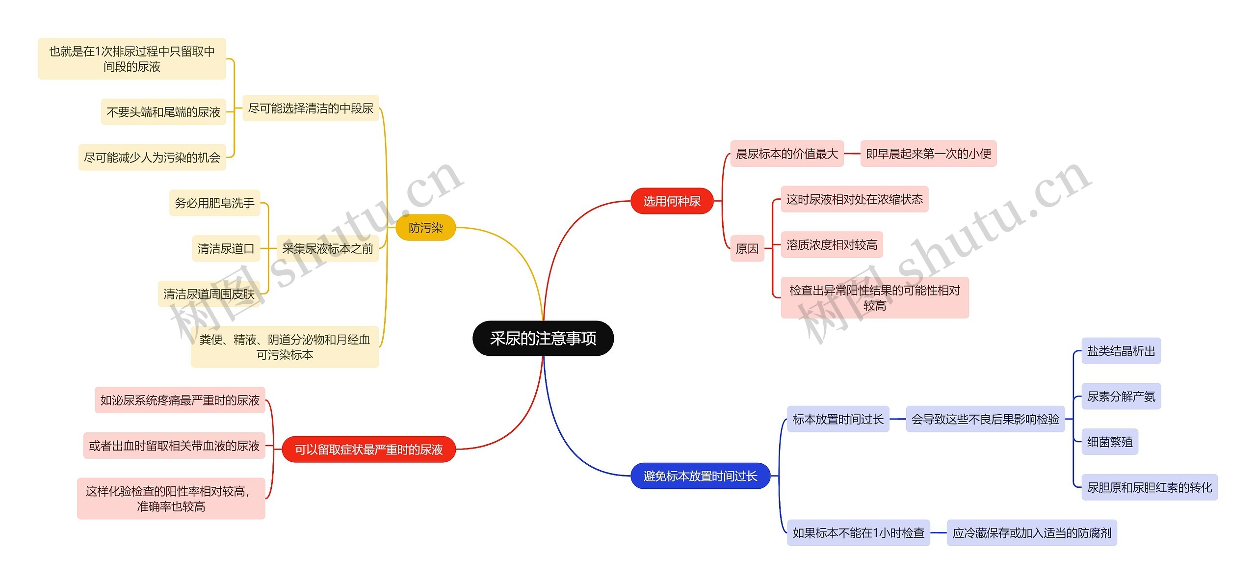 医学知识采尿的注意事项思维导图