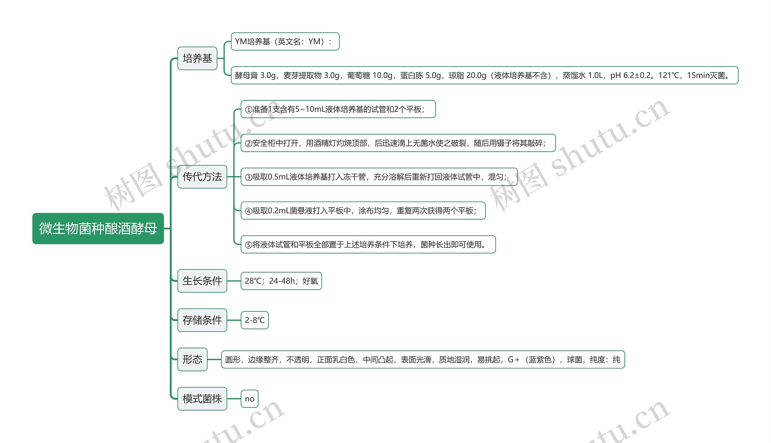 微生物菌种酿酒酵母思维导图