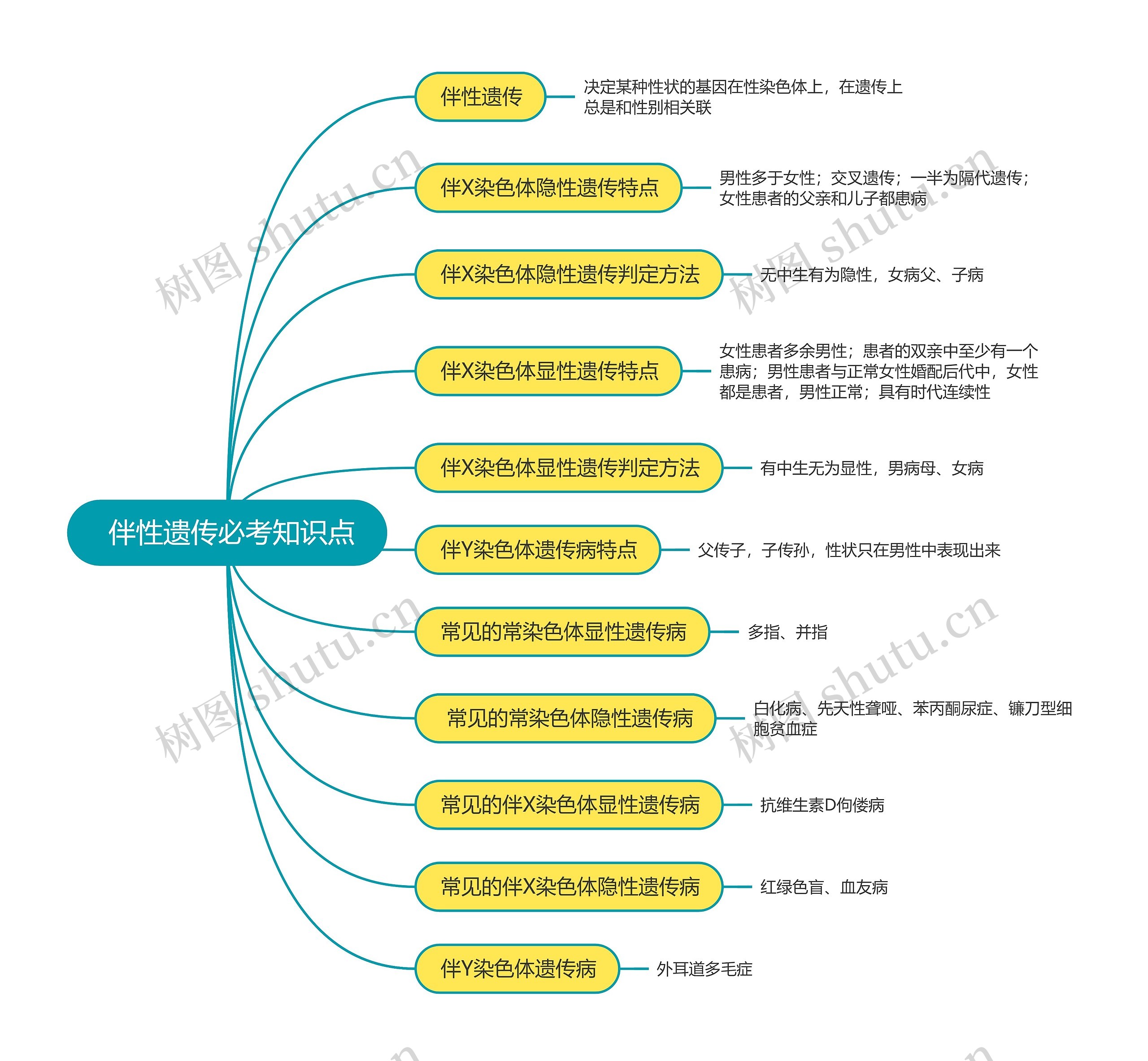 高中生物必修二伴性遗传必考知识点思维导图