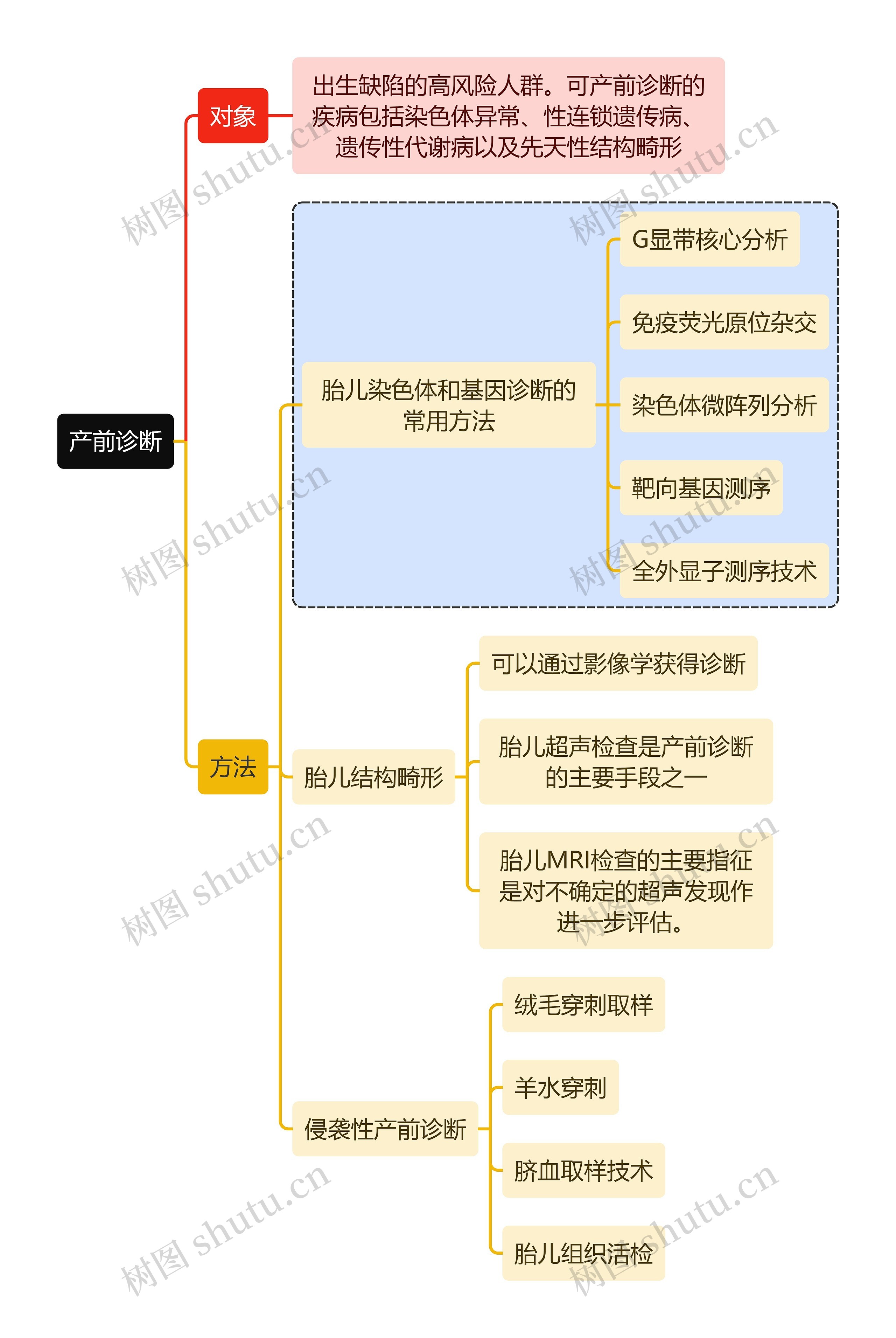 医学知识产前诊断思维导图