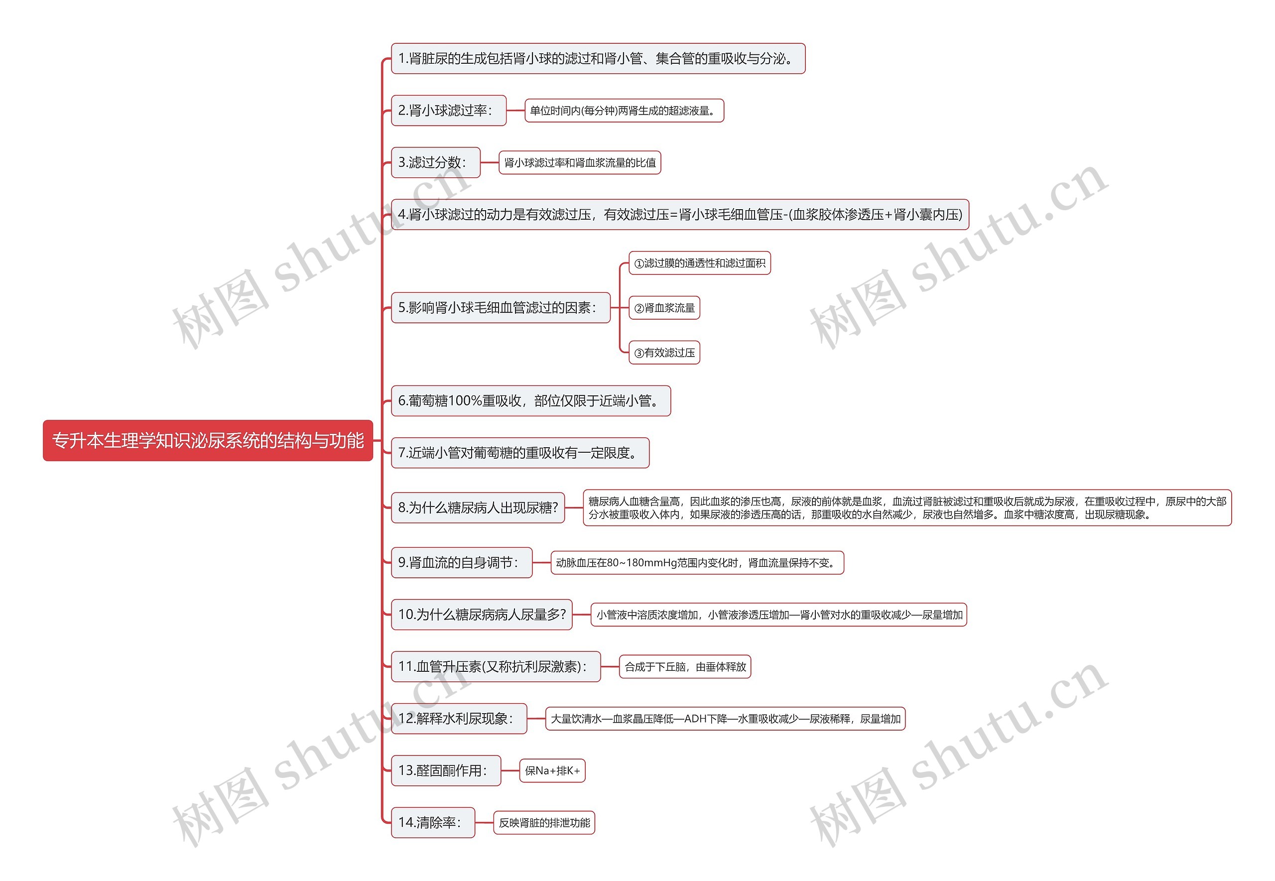 专升本生理学知识泌尿系统的结构与功能思维导图