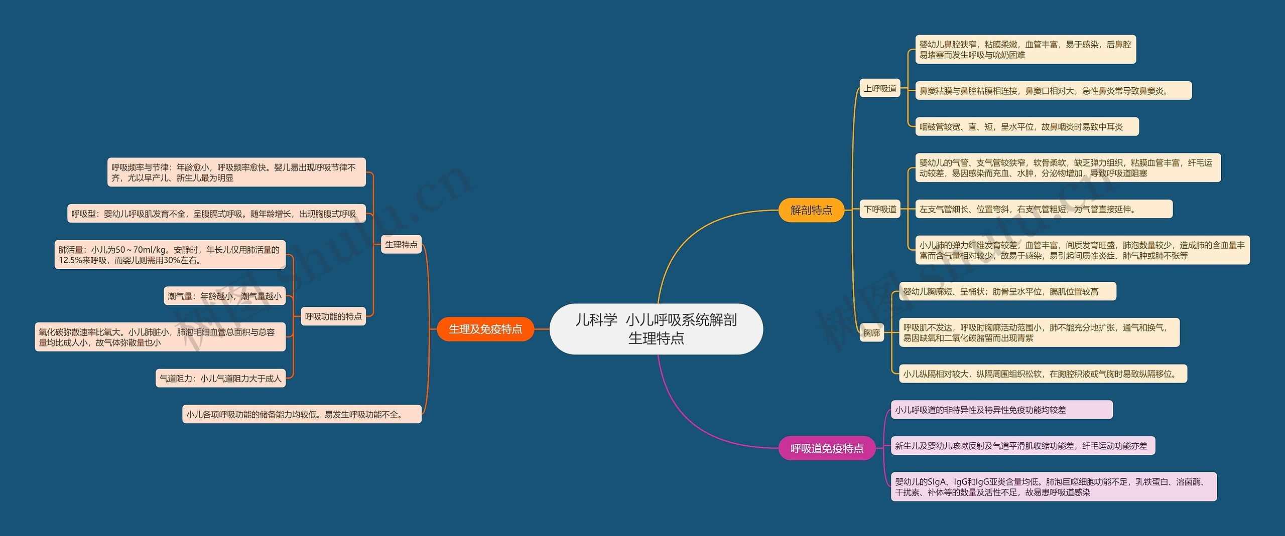 儿科学  小儿呼吸系统解剖生理特点思维导图