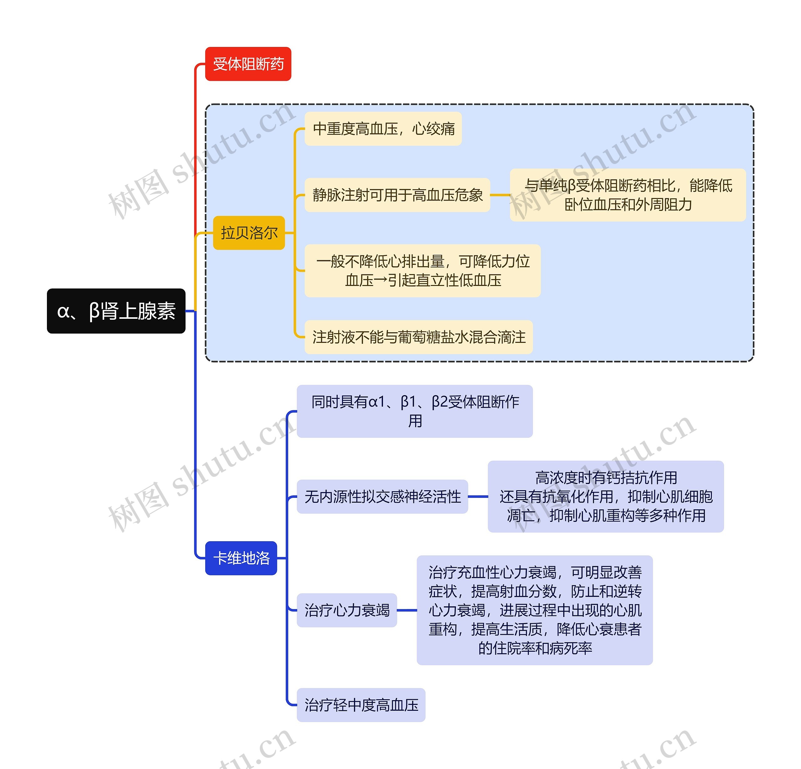 医学α、β肾上腺素思维导图