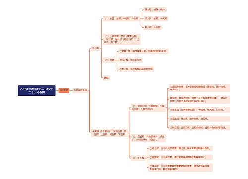 《人体系统解剖学三（肌学二十）小脑8》思维导图思维导图