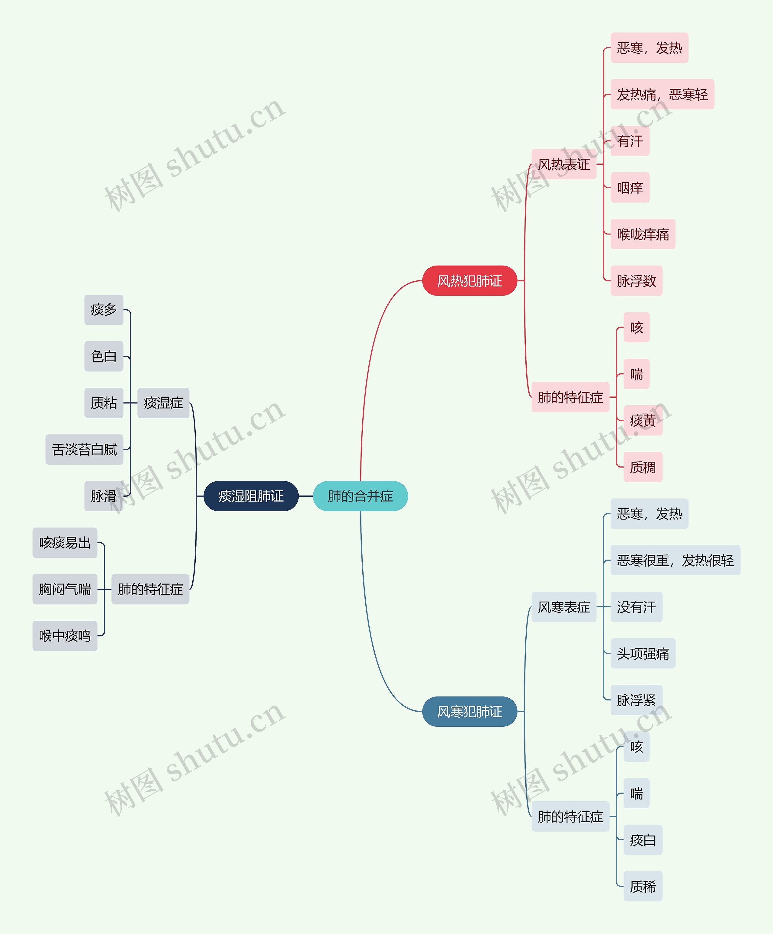 中医知识肺的合并症思维导图
