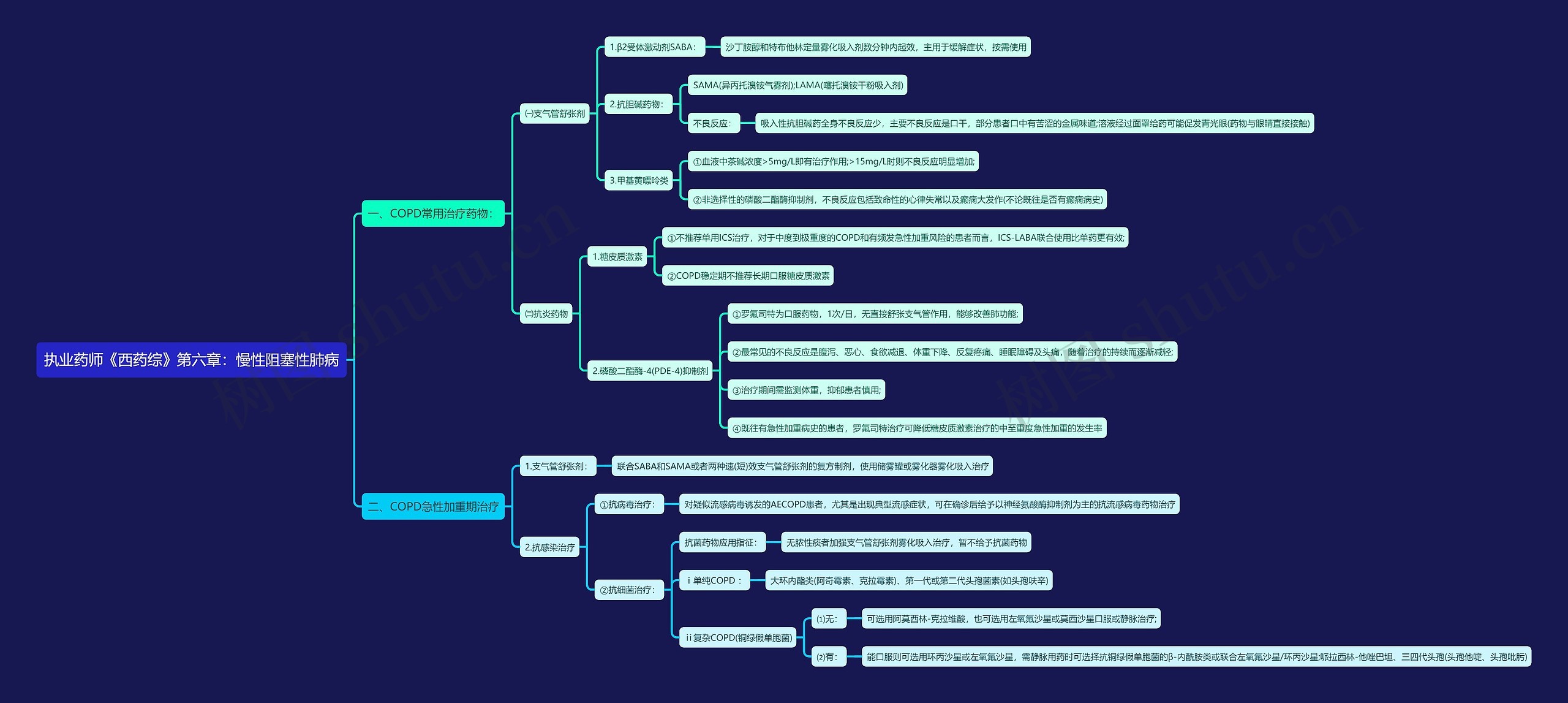 执业药师《西药综》第六章：慢性阻塞性肺病思维导图