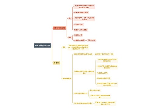 医学知识影响肾重吸收的因素思维导图