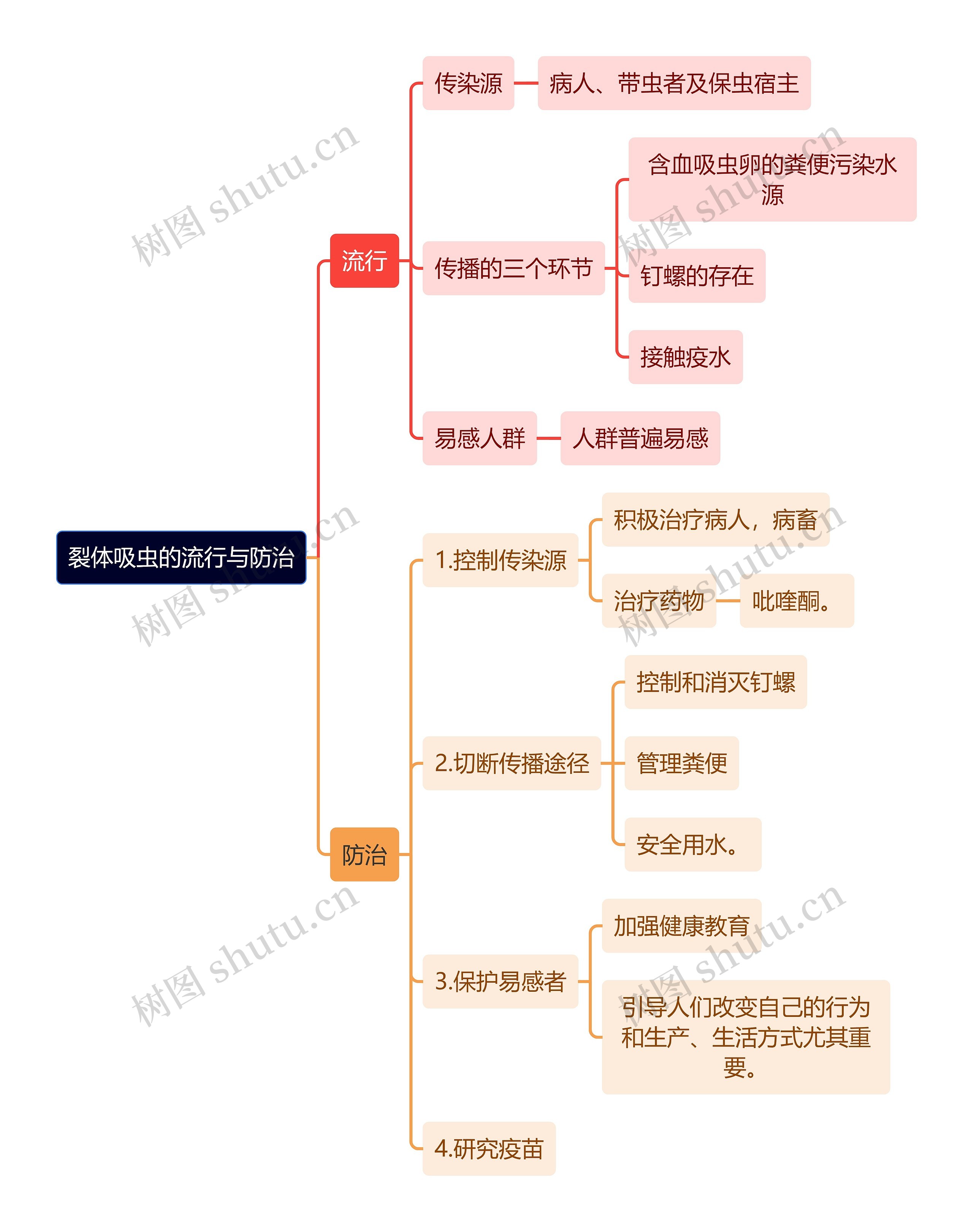 医学知识裂体吸虫的流行与防治思维导图