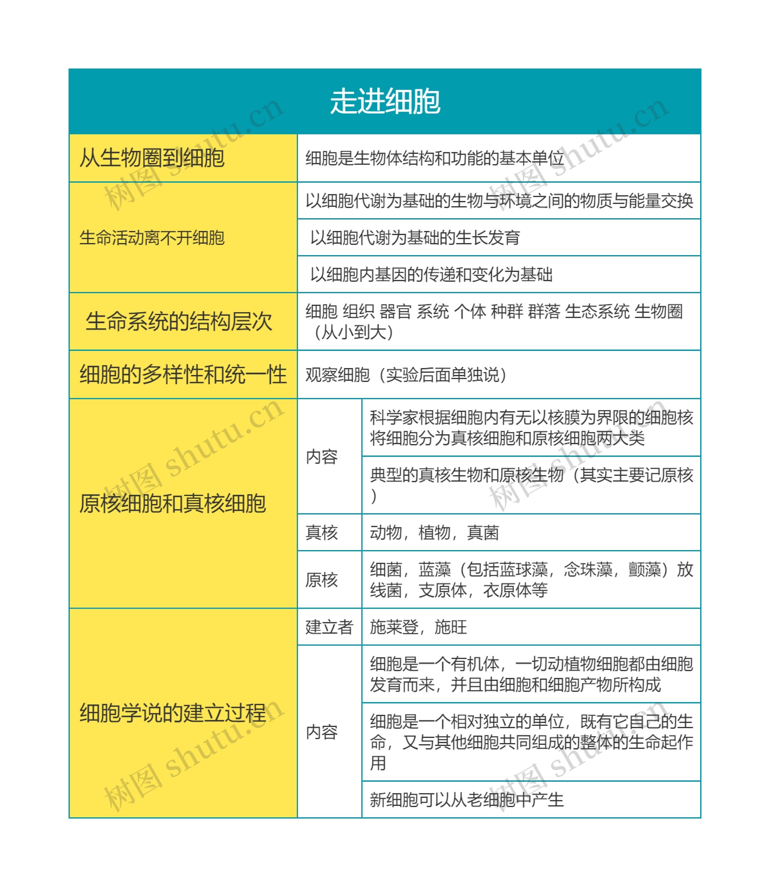 高中生物必修一走进细胞思维导图