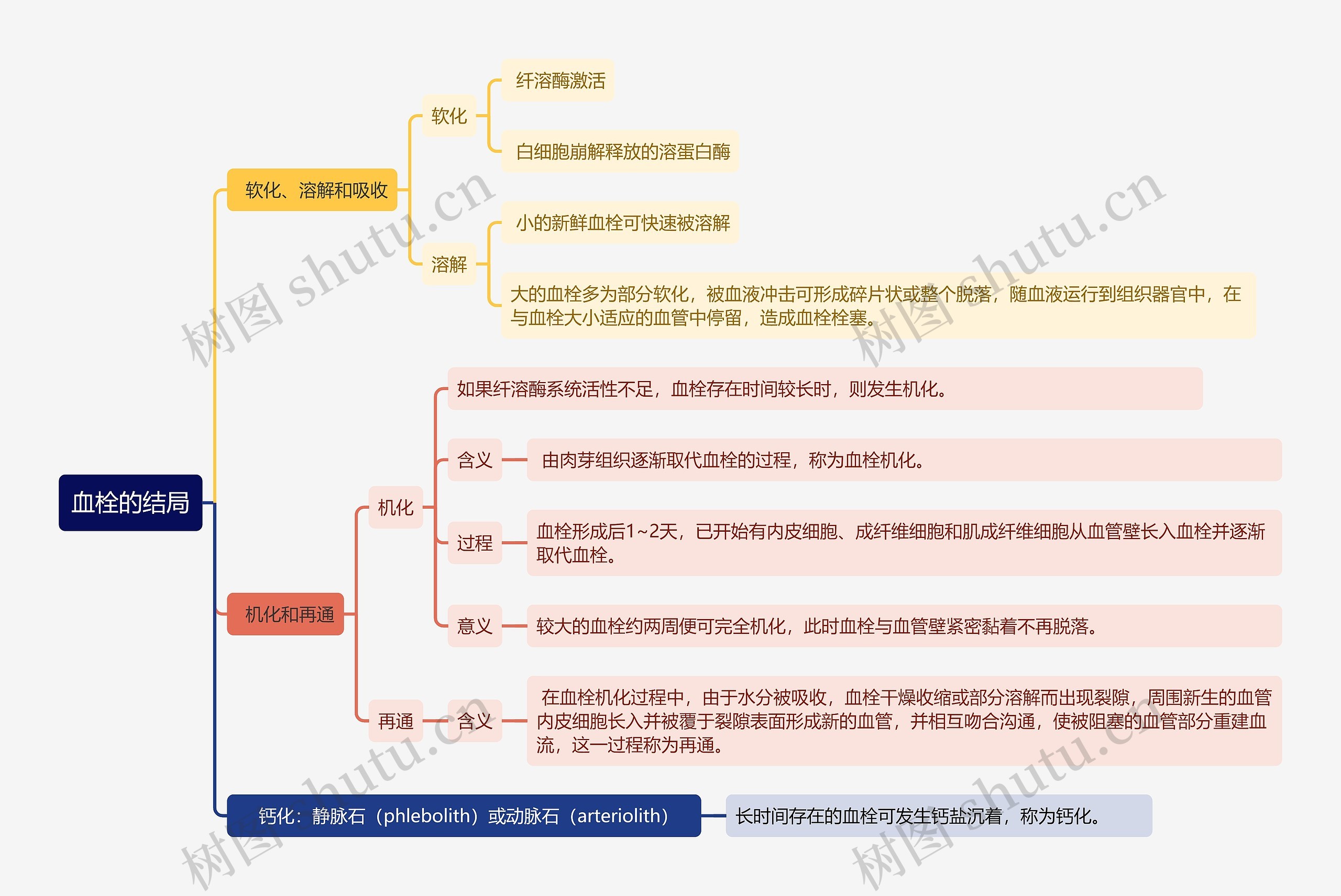 血栓的结局思维导图